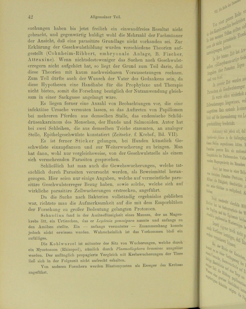 Buchungen haben bis jetzt freilich ein einwandfreies Resultat nicht gebracht, und gegenwärtig huldigt wohl die Mehrzahl der Fachmänner der Ansicht, daß eine parasitäre Grundlage nicht vorhanden sei. Zur Erklärung der Geschwulstbildung wurden verschiedene Theorien auf- gestellt (Cohnheim-Ribbert, embryonale Anlage, B. Fischer. Attrasine). Wenn nichtsdestoweniger das Suchen nach Geschwulst- erregern nicht aufgehört hat, so liegt der Grund zum Teil darin, daß diese Theorien mit kaum nachweisbaren Voraussetzungen rechnen. Zum Teil dürfte auch der Wunsch der Vater des Gedankens sein, da diese Hypothesen eine Handhabe für die Prophylaxe und Therapie nicht bieten, somit die Forschung bezüglich der Nutzanwendung gleich- sam in einer Sackgasse angelangt wäre. Es liegen ferner eine Anzahl von Beobachtungen vor, die eine infektiöse Ursache vermuten lassen, so das Auftreten von Papillomen bei mehreren Pferden aus demselben Stalle, das endemische Schild- drüsenkarzinom des Menschen, der Hunde und Salmoniden. Autor hat bei zwei Schleihen, die aus demselben Teiche stammten, an analoger Stelle, Epithelgeschwülste konstatiert (Zeitsehr. f. Ivrebsf.. Bd. VII). Es ist ferner Sticker gelungen, bei Hunden künstlich Ge- schwülste einzupflanzen und zur Weiterwucherung zu bringen. Man hat dann, wohl nur vergleichsweise, von der Geschwulstzelle als einem sich vermehrenden Parasiten gesprochen. Schließlich hat man auch die Gewebswucherungen, welche tat- sächlich durch Parasiten verursacht werden, als Beweismittel heran- gezogen. Hier seien nur einige Angaben, welche auf vermeintliche para- sitäre Geschwulsterreger Bezug haben, sowie solche, welche sich aut wirkliche parasitäre Zellwucherungen erstrecken, angeführt. Da die Suche nach Bakterien vollständig ergebnislos geblieben war, richtete man die Aufmerksamkeit auf die mit dem Emporblühen der Forschung zu großer Bedeutung gelangten Protozoen. Schaudinn fand in der Aszitesfliissigkeit eines Mannes, der an Magen- krebs litt, ein Urtierchen, das er Leydenia gemmipara nannte und anfangs zu den Amöben stellte. Ein — anfangs vermuteter — Zusammenhang konnte jedoch nicht erwiesen werden. Wahrscheinlich ist das Vorkommen bloß ein zufälliges. Die Ko hl wurzel ist mitunter der Sitz von Wucherungen, welche durch ein Myzetozoon (lihizopod), nämlich durch Plasmodiophora brassicae ausgelöst werden. Der anfänglich propagierte Vergleich mit Krebswucherungen der Tiere ließ sich in der Folgezeit nicht aufrecht erhalten. Von anderen Forschern werden Blastomyzeten als Erreger des Krebse.- angeführt.