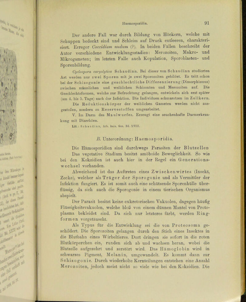 Der andere Fall war durch Bildung von Höckern, welche mit Schuppen bedeckt sind und Schleim auf Druck entleeren, charakteri- siert. Erreger Coccidium nudum (?). In beiden Fällen beschreibt der Autor verschiedene Entwicklungsstadien: Merozoiten, Makro- und Mikrogameten; im letzten Falle auch Kopulation, Sporoblasten- und Sporenbildung. Cyclospora caryolytica Scbaudinn. Bei dieser von Schaudinn studierten Art werden nur zwei Sporen mit je zwei Sporozoiten gebildet. Es tritt schon bei der Schizogonie eine geschlechtliche Differenzierung (Dimorphismus) zwischen männlichen und weiblichen Schizonten und Merozoiten auf. Die Geschlechtsformen, welche zur Befruchtung gelangen, entwickeln sich erst später (am 4. bis 5. Tage) nach der Infektion. Die Individuen schmarotzen im Zellkern. Die Reduktionskörper der weiblichen Gameten werden nicht aus- gestoßen, sondern zu Reservestoffen umgearbeitet. V. Im Darm des Maulwurfes. Erzeugt eine seuchenhafte Darmerkran- kung mit Diarrhöen. Lit.: Schaudinn, Arb. kais. Ges. Bd. XVIII. B. Unterordnung: Haemosporidia. Die Hämosporidien sind durchwegs Parasiten der Blutzellen Das vegetative Stadium besitzt amöboide Beweglichkeit. So wie bei den Kokzidien ist auch hier in der Regel ein Generations- wechsel vorhanden. Abweichend ist das Auftreten eines Zwischenwirtes (Insekt, Zecke), welcher als Träger der Sporogonie und als Vermittler der Infektion fungiert. Es ist somit auch eine schützende Sporenhülle über- flüssig, da sich auch die Sporogonie in einem tierischen Organismus abspielt. Der Parasit besitzt keine exkretorischen Vakuolen, dagegen häufig Flüssigkeitsvakuolen, welche bloß von einem dünnen Mantel von Proto- plasma bekleidet sind. Da sich nur letzteres färbt, werden Ring- formen vorgetäuscht. Als Typus für die Entwicklung sei die von Proteosoma ge- schildert. Die Sporozoiten gelangen durch den Stich eines Insektes in die Blutbahn eines Wirbeltieres. Dort dringen sie sofort in die roten Blutkörperchen ein, runden sich ab und wachsen heran, wobei die Blutzelle aufgezehrt und zerstört wird. Das Hämoglobin wird in schwarzes Pigment, Melanin, umgewandelt. Es kommt dann zur Schizogonie. Durch wiederholte Kernteilungen entstehen eine Anzahl Merozoiten, jedoch meist nicht so viele wie bei den Kokzidien. Die