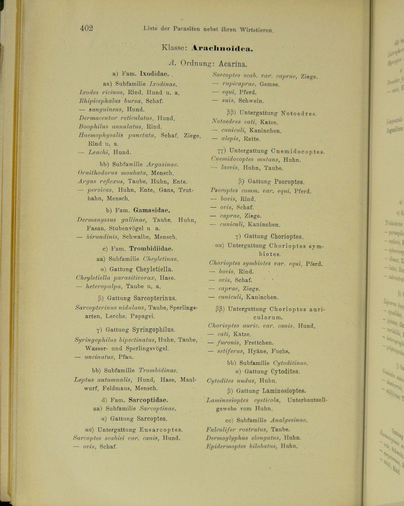 Klasse: .iradiiioidi1». A. Ordnung: Acarina. a) Fam. Ixodidae. aa) Subfamilie Ixodinae. Ixodes ricinus, Kind, Hund u. a. Jihipicephaltts bursa, Schaf. — sanguineus, Hund. Dermacentor reliculatus, Hund. Boophilus annulatus, Rind. Ilaemophysalis punctata, Schaf, Ziege, Rind u. a. — Leachi, Hund. bb) Subfamilie Argasinae. Ornithodorus moubata, Mensch. Argas reßexus, Taube, Huhn, Ente. — persicus, Huhn, Ente, Gans, Trut- hahn, Mensch. b) Fam. Gamasidae. Dermangssus gallinae, Taube, Huhn, Fasan, Stubenvögel u a. — hirundinis, Schwalbe, Mensch. c) Fam. Trombidiidae. aa) Subfamilie Cheyletinae. a) Gattung Cheyletiella. Cheyletiella parasitivorax, Hase. — heteropalpa, Taube u. a. ß) Gattung Sarcopterinus. Sarcopterinus nidulans, Taube, Sperlings- arten, Lerche, Papagei. Y'l Gattung Syringophilus. Syringophilus bipectinalus, Huhn, Taube, Wasser- und Sperlingsvögel. — uncinatus, Pfau. bb) Subfamilie Trombidinae. Leptus autumnalis, Hund, Hase, Maul- wurf, Feldmaus, Mensch. d) Fam. Sarcoptidae. aa) Subfamilie Sarcoplinae. o) Gattung Sarcoptes. wÜ) Untergattung Eusarcoptes. Sarcoptes scabiei rar. canis, Hund. — ovis, Schaf. Sarcoptes scab. rar. caprae, Ziege. — rupicaprae, Gemse. — equi, Pferd. — suis, Schwein. ßfi) Untergattung Notoed res. Notoedres cati, Katze. — cuniculi, Kaninchen. — alepis, Ratte. Vf) Untergattung Cnemidocoptes. Cnemidocoptes mutans, Huhn. — laevis, Huhn, Taube. ß) Gattung Psoroptes. Psoroptes comm. rar. equi, Pferd. — bovis, Rind. — ovis, Schaf. — caprae, Ziege. — cuniculi, Kaninchen. y) Gattung Chorioptes. o.a) Untergattung Chorioptes sym- biotes. Chorioptes symbiotes var. equi, Pferd. — bovis, Rind. — ovis, Schaf. — caprae, Ziege. — cuniculi, Kaninchen. ßß) Untergattung Chorioptes auri- cularum. Chorioptes auric. var. canis, Hund. — cati, Katze. — furonis, Frettchen. — setiferus, Hyäne, Fuchs, bb) Subfamilie Cytoditinae. a) Gattung Cytodites. Cytoditcs nudus, Huhn. ß) Gattung Laminosioptes. Laminosioptcs cysticola, Unterhautzell gewebe vom Huhn. cc) Subfamilie Analgesinae. Falculifer rostratus, Taube. Dermoglyphus elongatus, Huhn. Epidcrmnptes bilobatus, Huhn.