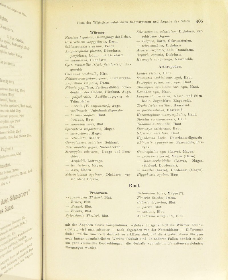 Würmer. Fasciola hepatica, Gallengänge der Leber. Gastrodiscus aegyptiacus, Darm. Schistosomum crassum, Venen. Anoplocephala plicata, Dünndarm. — perfoliata, Dünn- und Dickdarm. — tnamillana, Dünndarm. Cyst. tenuieollis (Cyst. fistularis?), Ein- geweide. Coenurus cerebralis, Hirn. Echinococcuspolymorphus, innere Organe. Anguillula vivipara, Darm. Filaria papillosa, Peritonealhöhle, Schei- denhaut des Hodens, Hirnhaut, Auge. — palpebralis, Ausführungsgang der Tränendrüse. — inermis (F. conjunctiv.), Auge. — medinensis, Unterhautzellgewebe. — haemorrhagica, Haut. —- irritans, Haut. — sanguinis equi, Blut. Spiroptera rnegastoma, Magen. — microstoma, Magen. — reticulatu, Bänder. Gongylonema scutatum, Schlund. Eustrongylus gigas, Nierenbecken. Strongylus micrurus, Lunge und Bron- chien. — Arnfieldi, Luftwege. — tenuissimus, Magen. — Axei, Magen. Sclerostomum equinum, Dickdarm, ver- schiedene Organe. Selerostomum edentatum, Dickdarm, ver- schiedene Organe. — vulgare, Darm, Gekrösarterien. — tetracantlwm, Dickdarm. Ascaris inegalocephala, Dünndarm. Oxyuris curvula, Dickdarm. Haemopis sanguisaga, Nasenhöhle. Arthropoden. Ixodes ricinus, Haut. Sarcoptes scabiei var. equi, Haut. Psoroptes com.ni. var. equi, Haut Chorioptes symbiotes var. equi, Haut. Demodex equi, Haut. Linguatula rhinaria, Nasen- und Stirn- höhle, Jugendform Eingeweide. Trichodectes vestitus, Haarkleid. — parumpilosus, Haarkleid. Haematopinus macrocephalus, Haut. Simulia columbaczensis, Haut. Tabanus autumnalis, Haut. Stomoxys calcitrans, Haut. Glossina morsitans, Haut. Hypoderma bovis, Unterhautzellgewebe. Rhinoestruspurpureus, Nasenhöhle, Pha- rynx. Gastrophilus equi (Larve), Magen. — pecorum (Larve), Magen (Darm). — - haemorrhoidalis (Larve), Magen, (Schlund, Duodenum). — nasalis (Larve), Duodenum (Magen). Hippobosca equina, Haut. Rind. Prolozoen. Trypanosoma Theileri, Blut. — Brucei, Blut. — Evansi, Blut. — Franki, Blut. Spirochaete Theileri, Blut. Entamoeba bovis, Magen (?) Eirneria Stiedae, Darm. Babesia bigemina, Blut. — parva, Blut. — mutans, Blut. Anaplasma marginale, Blut. mit den Angaben dieses Kompendiums, welches übrigens bloß die Würmer berück- sichtigt, wird man mitunter — auch abgesehen von der Nomenklatur — Differenzen finden, welche zum Teile dadurch zu erklären sind, daß die Angaben dieses übrigens noch immer unentbehrlichen Werkes überholt sind. In anderen Fällen handelt ob sich um ganz vereinzelte Beobachtungen, die deshalb von mir im Parasitenverzeichnisse übergangen wurden.