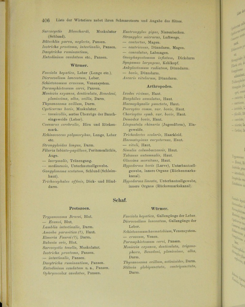 Sarcoeystis Blauchardi, Muskulatur (Schlund). Bütschlia parva, neglecta, Pansen. Isotricha prostoma, intestinalis, Pansen. Dasytricha ruminantium, Entodinium caudatum etc., Pansen. Würmer. Fasciola hepatica, Leber (Lunge etc.). Dicrocoeliutn lanceatum, Leber. Schistosonmm crassum, Venensystem. Paramphistomum cervi, Pansen. Moniezia expansa, denticulata, Benedeni, planissima, alba, ovilla, Darm. Thysanosoma ovillum, Darm. Cysticercus bovis, Muskulatur. — tenuicollis, seröse Überzüge der Bauch- eingeweide (Leber). Coenurus cerebralis, Hirn und Rücken- mark. Echinococcus polymorphus, Lunge, Leber etc. Strongyloides longus, Darm. Filaria labiato-papillosa, Peritonealhöhle, Auge. — lacrymalis, Tränengang. — medinensis, Unterhautzellgewebe. Gongylonema scutatum, Schlund (Schleim- haut). Trichocephalus affinis, Dick- und Blind- darm. Eustrongylus gigas, Nierenbecken. Strongylux micrurus, Luftwege. — von fort us, Magen. — ventricosus, Dünndarm, Magen. — convolutus, Labmagen. Oesophagostomum inflalum, Dickdarm Syngamus laryngeux, Kehlkopf. Ankylostomum radiatum, Dünndarm. — bovis, Dünndarm. Ascaris vitulorum, Dünndarm. Arthropoden. Ixodes ricinus, Haut. Boophilus annulatus, Haut. Haemophysalis punctata, Haut. Psoroptes comm. var. bovis, Haut. Chorioptes symb. var. bovis, Haut. Demodex bovis, Haut. Linguatula rhinaria (Jugendform), Ein- geweide. Trichodectes scalaris, Haarkleid. Haematopinus eurysternus, Haut. — vituli, Haut. Simulia columbaczensis, Haut. Tabanus autumnalis, Haut. Glossina morsitans, Haut. Ilypoderma bovis (Larve), Unterhautzell- gewebe, innere Organe (Rückenmarks- kanal). Ilypoderma lineata, Unterhautzellgewebe, innere Organe (Rückenmarkskanal). Schaf. Protozoen. Trypanosoma Brucei, Blut. — Evansi, Blut. Lamblia intestinalis, Darm. Amoeba parasitica (?), Haut. Eimeria Faurei(?), Darm. Babesia ovis, Blut. Sarcoeystis tenella, Muskulatur. Isotricha prostoma, Pansen. — intestinalis, Pansen. Dasytricha ruminantium, Pansen. Entodinium caudatum u. a., Pansen. Ophryoscolex caudatus, Pansen. Würmer. Fasciola hepatica, Gallengänge der Leber. Dicrocoelium lanceatum, Gallengänge der Leber. Schistosomum haematobium, Venen syst ein. — crassum, Venen. Paramphistomum cervi, Pansen. Moniezia expansa, denticulata, trigono- phora, Benedeni, planissima, alba, Darm. Thysanosoma ovillum, actinioides. Darm. Stilcsia globipunclata, centripunctata, Darm.