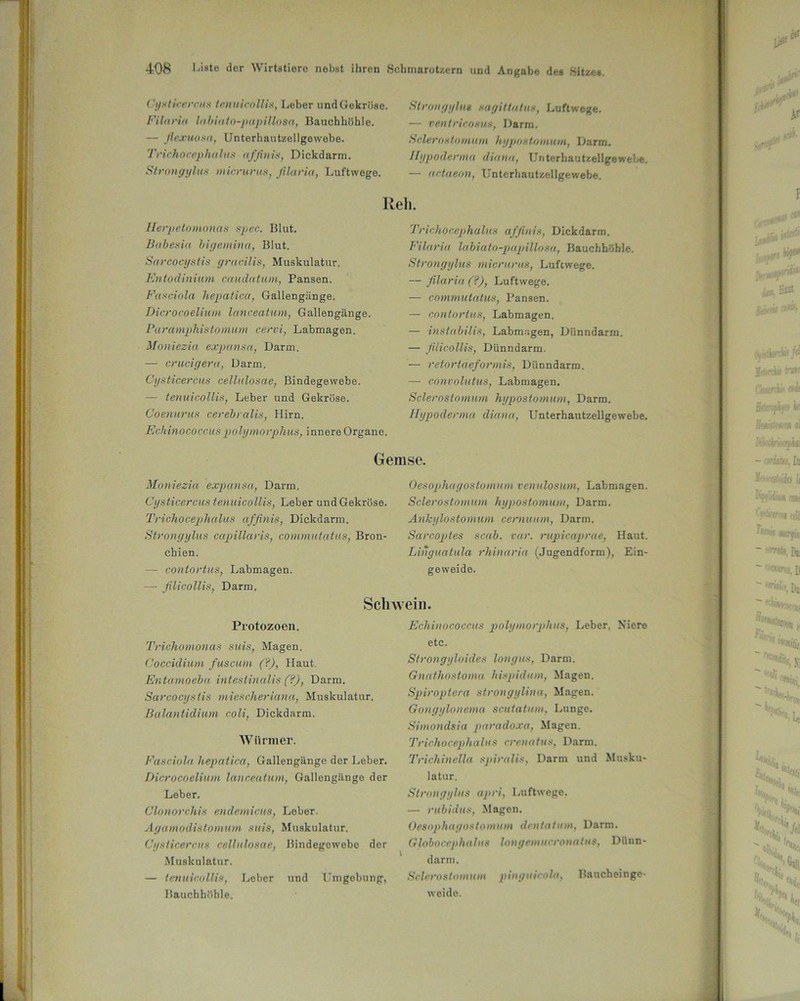 Cysticercus tenuicoUis, Leber und Gekröse. Filaria labiato-papillosa, Bauchhöhle. — flexuosa, Unterhautzellgewebe. Trichocephalus affinis, Dickdarm. Strongylus micrurus, filaria, Luftwege. Strongylus sagitlatus, Luftwege. — ventricosm, Darm. Sclerostomum hypostomum, Darm. Hypoderma diana, Unterbautzellgewebe. — actaeon, Unterhautzellgewebe. Reh. Herpetomonas spec. Blut. Babesi« bigemina, Blut. Sarcocystis gracilis, Muskulatur. Entodiniuin caudatum, Pansen. Fasciola hepatica, Gallengänge. Dicrocoelium lanceatum, Gallengänge. Paramphistomum cervi, Labmagen. Moniezia expansa, Darm. — crucigeru, Darm. Cysticercus cellulosae, Bindegewebe. — tenuicoUis, Leber und Gekröse. Coenurus cerebralis, Hirn. Echinococcuspolymorphus, innere Organe. Trichocephalus affinis, Dickdarm. Filaria labiato-papillosa, Bauchhöhle. Strongylus micrurus, Luftwege. — filaria (?), Luftwege. — commutatus, Pansen. — contortus, Labmagen. — instabilis, Labmagen, Dünndarm. — filicollis, Dünndarm. — retortaefonnis, Dünndarm. — convolutus, Labmagen. Sclerostomum hypostomum, Darm. Hypoderma diana, Unterhautzellgewebe. Gemse. Moniezia expansa, Darm. Cysticercus tenuicoUis, Leber und Gekröse. Trichocephalus affinis, Dickdarm. Strongylus capillaris, commutatus, Bron- chien. — contortus, Labmagen. — filicollis, Darm. Oesopliagostomum venulosum, Labmagen. Sclerostomum hypostomum, Darm. Anlcylostomum cernuum, Darm. Sarcoptes scab. var. rupieaprae, Haut. Linguatula rhinaria (Jugendform), Ein- geweide. Schwein. Protozoen. Trichomonas suis, Magen. Coccidium fuscum (?), Haut. Entamoeba intestinalis (?), Darm. Sarcocystis miescheriana, Muskulatur. ßalantidium coli, Dickdarm. Würmer. Fasciola hepatica, Gallengänge der Leber. Dicrocoelium lanceatum, Gallengänge der Leber. Clonorcliis endemicus, Leber. Agamodistomum suis, Muskulatur. Cysticercus cellulosae, Bindegewebe der Muskulatur. — tenuicoUis, Leber und Umgebung, Bauchhöhle. Echinococcus polymorphus, Leber. Niere etc. Strongyloides longus, Darm. Gnathostoma liispidum, Magen. Spiroptera strongylina, Magen. Gongylonema scutatum, Lunge. Simondsia paradoxa, Magen. Trichocephalus crenatus, Darm. Trichinella spiralis, Darm und Musku- latur. Strongylus apri, Luftwege. — rubidus, Magen. Oesophagostomum dentatum, Darm. Gldbocephalus longemucronatus, Dünn- darm. Sclerostomum pinguicola, Baucheinge- weide.