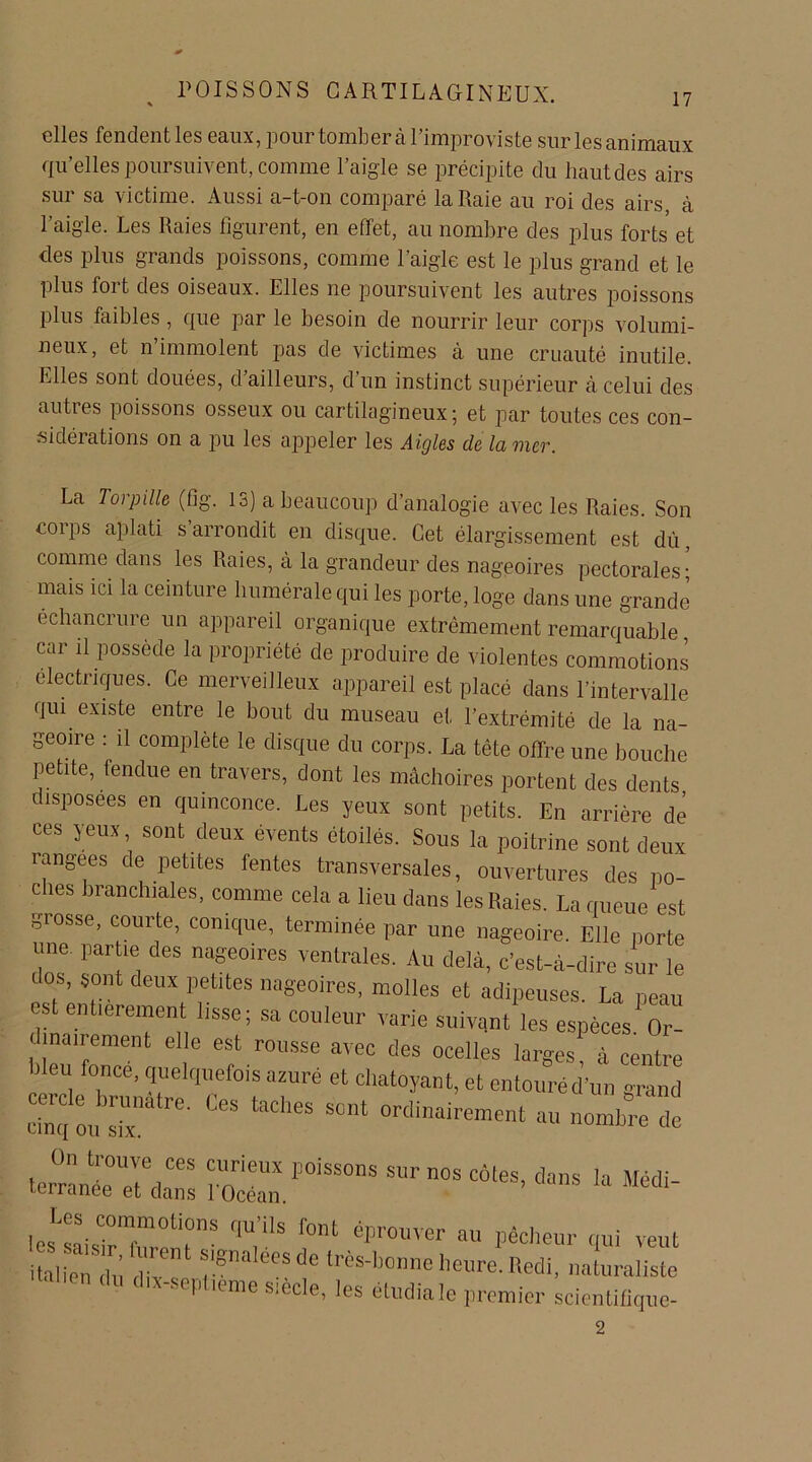 elles fendent les eaux, pour tomber à l’improviste sur les animaux qu’elles poursuivent, comme l’aigle se précipite du haut des airs sur sa victime. Aussi a-t-on comparé la Raie au roi des airs, à l’aigle. Les Raies figurent, en effet, au nombre des plus forts et des plus grands poissons, comme l’aigle est le plus grand et le plus fort des oiseaux. Elles ne poursuivent les autres poissons Plus faibles, que par le besoin de nourrir leur corps volumi- neux, et n’immolent pas de victimes à une cruauté inutile. Elles sont douées, d’ailleurs, d’un instinct supérieur à celui des auties poissons osseux ou cartilagineux5 et par toutes ces con- sidérations on a pu les appeler les Aigles de la mer. La Torpille (fig. 13) a beaucoup d’analogie avec les Raies. Son corps aplati s’arrondit en disque. Cet élargissement est dû, comme dans les Raies, à la grandeur des nageoires pectorales- mais ici la ceinture humérale qui les porte, loge dans une grande échancrure un appareil organique extrêmement remarquable car il possède la propriété de produire de violentes commotions electnques. Ce merveilleux appareil est placé dans l’intervalle qui existe entre le bout du museau et l’extrémité de la na- geoire : il complète le disque du corps. La tête offre une bouche petite, fendue en travers, dont les mâchoires portent des dents disposées en quinconce. Les yeux sont petits. En arrière de ces yeux, sont deux évents étoilés. Sous la poitrine sont deux rangées de petites fentes transversales, ouvertures des po- ches branchiales, comme cela a lieu dans les Raies. La queue est grosse, courte, conique, terminée par une nageoire. Elle porte une. partie des nageoires ventrales. Au delà, c’est-à-dire sur le dos, sont deux petites nageoires, molles et adipeuses. La peau e t entièrement lisse; sa couleur varie suivant les espèces. Or- dinairement elle est rousse avec des ocelles larges à centre bleu fonce, quelquefois azuré et chatoyant, et entouré d’un grand cinTon lix CeS taCllGS S°nt °rd“ent au nombre de Z roZ. P°iSSOns Sm’ n°s côtes’ Médi- Les commotions qu’ils font éprouver au pécheur qui veut italfenTû rgnaléeSde très‘bonne heure. Redi, naturaliste du dix-septieme siècle, les étudiale premier scientifique-