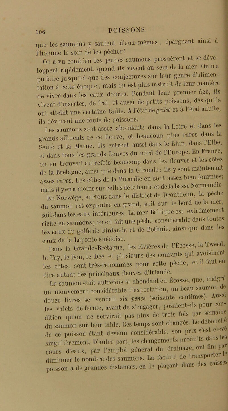 que les saumons y sautent d’eux-mêmes, épargnant ainsi a l’homme le soin de les pêcher ! On a vu combien les jeunes saumons prospèrent et se déve- loppent rapidement, quand ils vivent au sein de la mer. On n’a pu faire jusqu’ici que des conjectures sur leur genre d’alimen- tation à cette époque; mais on est plus instruit de leur maniéré de vivre dans les eaux douces. Pendant leur premier âge, us vivent d’insectes, de frai, et aussi de petits poissons, des qu’ils ont atteint une certaine taille. A l’état de grilse et à l’état adulte, ils dévorent une foule de poissons. Les saumons sont assez abondants dans la Loire et dans es grands affluents de ce fleuve, et beaucoup plus rares dans la Seine et la Marne. Ils entrent aussi dans le Rhin, dans 1 Elbe, et dans tous les grands fleuves du nord de l’Europe. En France, on en trouvait autrefois beaucoup dans les fleuves et les cotes de la Bretagne, ainsi que dans la Gironde ; ils y sont maintenant assez rares. Les côtes de la Picardie en sont assez bien fournies; mais il y en a moins sur celles de la haute et de la basse Normandie En Norwége, surtout dans le district de Drontheim, la peche du saumon est exploitée en grand, soit sur le bord de la mer, soit dans les eaux intérieures. La mer Baltique est extrememen riche en saumons; on en fait une pêche considérable dans toutes les eaux du golfe de Finlande et de Bothnie, ainsi que dans les eaux de la Laponie suédoise. , Dans la Grande-Bretagne, les rivières de l’Ecosse, la Tweed le Tay, le Don, le Dee et plusieurs des courants qui avoisinen les côtes, sont très-renommés pour cette pêche, et il faut en dire autant des principaux fleuves d Irlande. . Le saumon était autrefois si abondant en Écosse, que, maigre un mouvement considérable d’exportation, un beau saumon de douze livres se vendait six pence (soixante centimes). Aussi les valets de ferme, avant de s’engager, posaient-ils pour con- dition qu’on ne servirait pas plus de trois lois pai s®mdl” du saumon sur leur table. Ces temps sont changés. Le c e iouc de ce poisson étant devenu considérable, son prix s es ee singulièrement. D’autre part, les changements produits dans e cours d’eaux, par l’emploi général du drainage, ont 1111 P' diminuer le nombre des saumons. La facilité de tianspoi poisson à de grandes distances, en le plaçant dans c es cai