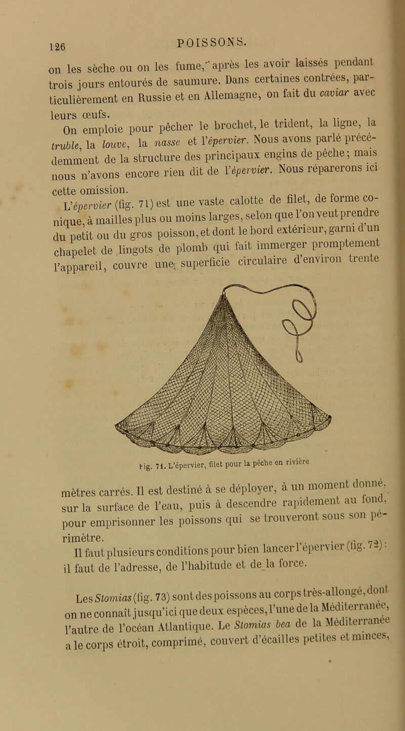 on les sèche ou on les fume, après les avoir laissés pendant trois jours entourés de saumure. Dans certaines contrées, par- ticulièrement en Russie et en Allemagne, on fait du caviar avec leurs œufs. , On emploie pour pêcher le brochet, le trident, la ligne, la truble la louve, la nasse et Yèpermer. Nous avons parlé précé- demment de la structure des principaux engins de peche; mais nous n’avons encore rien dit de Yépermer. Nous réparerons ici cette omission. L’épervier (fig. 71) est une vaste calotte de filet, de forme co- nique, à mailles plus ou moins larges, selon que l’on veut prendre du petit ou du gros poisson,et dont le bord extérieur, garni d un chapelet de, lingots de plomb qui fait immerger promptement l’appareil, couvre une, superficie circulaire d environ trente Hg. 71. L’épervier, filet pour la pêche en rivière mètres carrés. Il est destiné à se déployer, à un moment donne, sur la surface de l’eau, puis à descendre rapidement au tout, pour emprisonner les poissons qui se trouveront sous son pe rimètre Il faut plusieurs conditions pour bien lancer l’épervier (fig. '2) • il faut de l’adresse, de l’habitude et de là force. Les Sioraias (fig. 73) sont des poissons au corps très-allonge, don on ne connaît jusqu’ici que deux espèces, l’une de la Méditerranée, l’autre de l’océan Atlantique. Le Siomias bca de la Méditerranée a le corps étroit, comprimé, couvert d’écailles petites et minces,