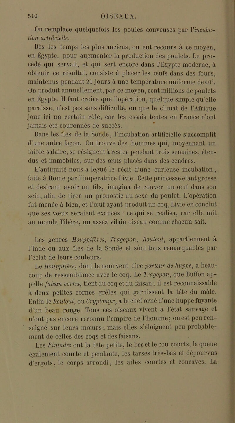 On remplace quelquefois les poules couveuses par l’incuba- tion artificielle. Dès les temps les plus anciens, on eut recours à ce moyen, en Égypte, pour augmenter la production des poulets. Le pro- cédé qui servait, et qui sert encore dans l’Égypte moderne, à obtenir ce résultat, consiste à placer les œufs dans des fours, maintenus pendant 21 jours à une température uniforme de 40°. On produit annuellement, par ce moyen, cent millions de poulets en Égypte. Il faut croire que l’opération, quelque simple qu’elle paraisse, n’est pas sans difficulté, ou que le climat de l’Afrique joue ici un certain rôle, car les essais tentés en France n’ont jamais été couronnés de succès. Dans les îles de la Sonde, l’incubation artificielle s’accomplit d’une autre façon. On trouve des hommes qui, moyennant un faible salaire, se résignent à rester pendant trois semaines, éten- dus et immobiles, sur des œufs placés dans des cendres. L’antiquité nous a légué le récit d’une curieuse incubation, faite à Rome par l’impératrice Livie. Cette princesse étant grosse et désirant avoir un fils, imagina de couver un œuf dans son sein, afin de tirer un pronostic du sexe du poulet. L’opération l'ut menée à bien, et l’œuf ayant produit un coq, Livie en conclut que ses vœux seraient exaucés : ce qui se réalisa, car elle mit au monde Tibère, un assez vilain oiseau comme chacun sait. Les genres Houppifères, Tragopan, Rouloul, appartiennent à l’Inde ou aux îles de la Sonde et sont tous remarquables par l’éclat de leurs couleurs. Le Houppifère, dont le nom veut dire porteur de huppe, a beau- coup de ressemblance avec le coq. Le Tragopan, que BulTon ap- pelle faisan cornu, tient du coq et du faisan; il est reconnaissable à deux petites cornes grêles qui garnissent la tête du mâle. Enfin le Rouloul, ou Cryptonyx, a le chef orné d’une huppe fuyante d’un beau rouge. Tous ces oiseaux vivent à l’état sauvage et n’ont pas encore reconnu l’empire de l’homme; on est peu ren- seigné sur leurs mœurs ; mais elles s’éloignent peu probable- ment de celles des coqs et des faisans. Les Pintades ont la tête petite, le bec et le cou courts, la queue également courte et pendante, les tarses très-bas et dépourvus d’ergots, le corps arrondi, les ailes courtes et concaves. La