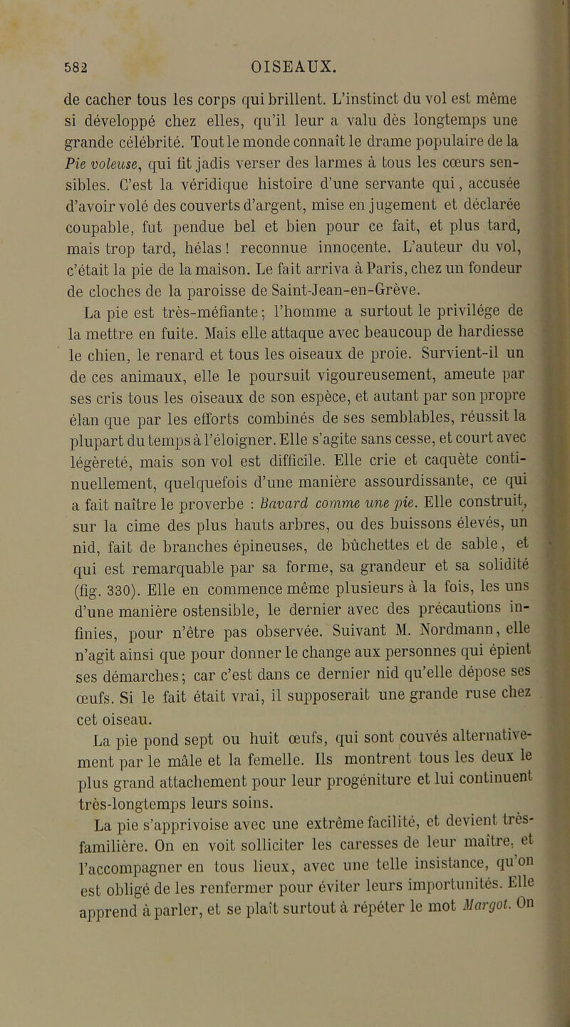 de cacher tous les corps qui brillent. L’instinct du vol est même si développé chez elles, qu’il leur a valu dès longtemps une grande célébrité. Tout le monde connaît le drame populaire de la Pie voleuse, qui fit jadis verser des larmes à tous les cœurs sen- sibles. C’est la véridique histoire d’une servante qui, accusée d’avoir volé des couverts d’argent, mise en jugement et déclarée coupable, fut pendue bel et bien pour ce fait, et plus tard, mais trop tard, hélas ! reconnue innocente. L’auteur du vol, c’était la pie de la maison. Le fait arriva à Paris, chez un fondeur de cloches de la paroisse de Saint-Jean-en-Grève. La pie est très-méfiante; l’homme a surtout le privilège de la mettre en fuite. Mais elle attaque avec beaucoup de hardiesse le chien, le renard et tous les oiseaux de proie. Survient-il un de ces animaux, elle le poursuit vigoureusement, ameute par ses cris tous les oiseaux de son espèce, et autant par son propre élan que par les efforts combinés de ses semblables, réussit la plupart du temps à l’éloigner. Elle s’agite sans cesse, et court avec légèreté, mais son vol est difficile. Elle crie et caquète conti- nuellement, quelquefois d’une manière assourdissante, ce qui a fait naître le proverbe : Bavard comme une pie. Elle construit, sur la cime des plus hauts arbres, ou des buissons élevés, un nid, fait de branches épineuses, de bûchettes et de sable, et qui est remarquable par sa forme, sa grandeur et sa solidité (fig. 330). Elle en commence même plusieurs à la fois, les uns d’une manière ostensible, le dernier avec des précautions in- finies, pour n’être pas observée. Suivant M. Nordmann, elle n’agit ainsi que pour donner le change aux personnes qui épient ses démarches; car c’est dans ce dernier nid qu elle dépose ses œufs. Si le fait était vrai, il supposerait une grande ruse chez cet oiseau. La pie pond sept ou huit œufs, qui sont couvés alternative- ment par le mâle et la femelle. Ils montrent tous les deux le plus grand attachement pour leur progéniture et lui continuent très-longtemps leurs soins. La pie s’apprivoise avec une extrême facilité, et devient très- familière. On en voit solliciter les caresses de leur maître, et l’accompagner en tous lieux, avec une telle insistance, quon est obligé de les renfermer pour éviter leurs importunités. Elle apprend à parler, et se plaît surtout à répéter le mot M argot. On