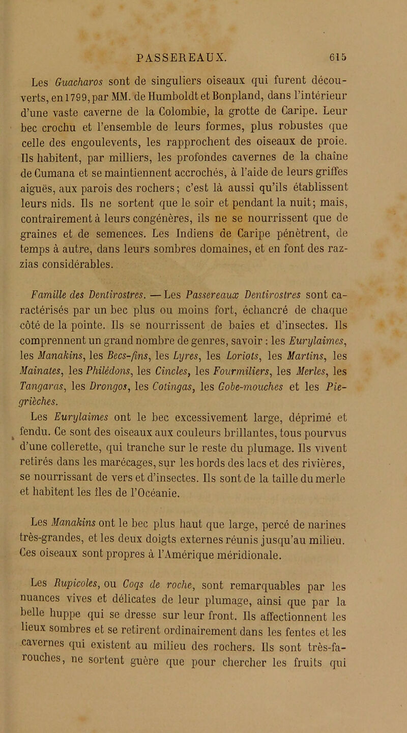 Les Guacharos sont de singuliers oiseaux qui furent décou- verts, en 1799, par MM. de Humboldt et Bonpland, dans l’intérieur d’une vaste caverne de la Colombie, la grotte de Caripe. Leur bec crochu et l’ensemble de leurs formes, plus robustes que celle des engoulevents, les rapprochent des oiseaux de proie. Ils habitent, par milliers, les profondes cavernes de la chaîne de Cumana et se maintiennent accrochés, à l’aide de leurs griffes aiguës, aux parois des rochers ; c’est là aussi qu’ils établissent leurs nids. Us ne sortent que le soir et pendant la nuit; mais, contrairement à leurs congénères, ils ne se nourrissent que de graines et de semences. Les Indiens de Caripe pénètrent, de temps à autre, dans leurs sombres domaines, et en font des raz- zias considérables. Famille des Dentirostres. — Les Passereaux Dentirostres sont ca- ractérisés par un bec plus ou moins fort, échancré de chaque côté de la pointe. Us se nourrissent de baies et d’insectes. Us comprennent un grand nombre de genres, savoir : les Eurylaimcs, les Manakins, les Becs-fms, les Lyres, les Loriots, les Martins, les Mainates, les Philédons, les Cincles, les Fourmiliers, les Merles, les Tangaras, les Drongos, les Colingas, les Gobe-mouches et les Pie- grïeches. Les Eurylaimes ont le bec excessivement large, déprimé et fendu. Ce sont des oiseaux aux couleurs brillantes, tous pourvus d’une collerette, qui tranche sur le reste du plumage. Us vivent retirés dans les marécages, sur les bords des lacs et des rivières, se nourrissant de vers et d’insectes. Ils sont de la taille du merle et habitent les îles de l’Océanie. Les Manakins ont le bec plus haut que large, percé de narines très-grandes, et les deux doigts externes réunis jusqu’au milieu. Ces oiseaux sont propres à l’Amérique méridionale. Les Rupicoles, ou Coqs de roche, sont remarquables par les nuances vives et délicates de leur plumage, ainsi que par la belle huppe qui se dresse sur leur front. Us affectionnent les lieux sombres et se retirent ordinairement dans les fentes et les cavernes qui existent au milieu des rochers. Us sont très-fa- rouches, ne sortent guère que pour chercher les fruits qui