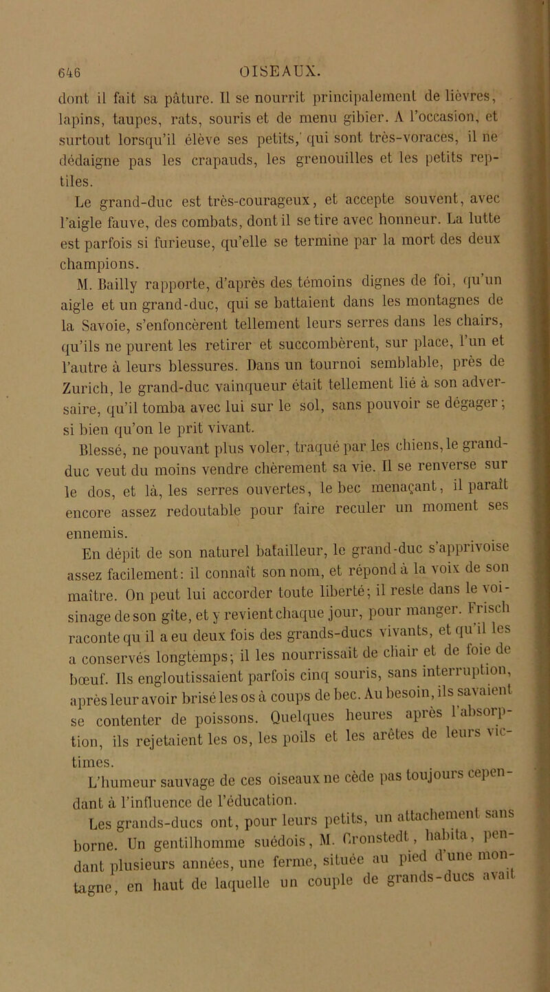 dont il fait sa pâture. Il se nourrit principalement de lièvres, lapins, taupes, rats, souris et de menu gibier. A l’occasion, et surtout lorsqu’il élève ses petits,' qui sont très-voraces, il ne dédaigne pas les crapauds, les grenouilles et les petits rep- tiles. Le grand-duc est très-courageux, et accepte souvent, avec l’aigle fauve, des combats, dont il se tire avec honneur. La lutte est parfois si furieuse, qu’elle se termine par la mort des deux champions. M. Bailly rapporte, d’après des témoins dignes de foi, qu un aigle et un grand-duc, qui se battaient dans les montagnes de la Savoie, s’enfoncèrent tellement leurs serres dans les chairs, qu’ils ne purent les retirer et succombèrent, sur place, 1 un et l’autre à leurs blessures. Dans un tournoi semblable, près de Zurich, le grand-duc vainqueur était tellement lié à son adver- saire, qu’il tomba avec lui sur le sol, sans pouvoir se dégagei ; si bien qu’on le prit vivant. Blessé, ne pouvant plus voler, traqué par les chiens, le grand- duc veut du moins vendre chèrement sa vie. Il se renverse sur le dos, et là, les serres ouvertes, le bec menaçant, il parait encore assez redoutable pour faire reculer un moment ses ennemis. En dépit de son naturel batailleur, le grand-duc s’apprivoise assez facilement: il connaît son nom, et répond à la voix de son maître. On peut lui accorder toute liberté; il reste dans le voi- sinage de son gîte, et y revient chaque jour, pour manger. Frïscli raconte qu il a eu deux fois des grands-ducs vivants, et qu il les a conservés longtemps; il les nourrissait de chair et de foie de bœuf. Ils engloutissaient parfois cinq souris, sans interruption, après leur avoir brisé les os à coups de bec. Au besoin, ils savaient se contenter de poissons. Quelques heures après l'absorp- tion, ils rejetaient les os, les poils et les arêtes de leurs vic- times. L’humeur sauvage de ces oiseaux ne cède pas toujours cepcn dant à l’influence de l’éducation. Les grands-ducs ont, pour leurs petits, un attachement sans borne. Un gentilhomme suédois, M. Oronstedt, habita, pen dant plusieurs années, une ferme, située au pied dune mon tagne, en haut de laquelle un couple de grands-ducs aval