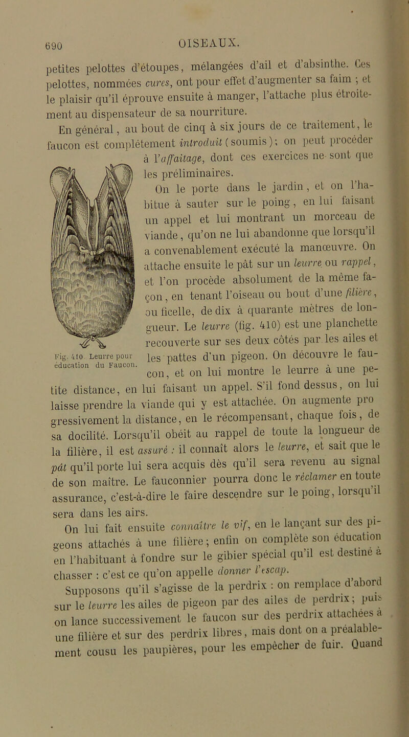 petites pelottes d’étoupes, mélangées d’ail et d absinthe. Les pelottes, nommées cures, ont pour effet d augmenter sa faim ; et le plaisir qu’il éprouve ensuite à manger, l’attache plus étroite- ment au dispensateur de sa nourriture. En général, au bout de cinq à six jours de ce traitement , le faucon est complètement introduit (soumis); on peut procéder à l’affaitage, dont ces exercices ne- sont que les préliminaires. O11 le porte dans le jardin, et on 1 ha- bitue à sauter sur le poing, en lui faisant un appel et lui montrant un morceau de viande, qu’on ne lui abandonne que lorsqu’il a convenablement exécuté la manœuvre. On attache ensuite le pât sur un leurre ou rappel, et l’on procède absolument de la même fa- çon, en tenant l’oiseau ou bout d’une filière, ou ficelle, de dix à quarante mètres de lon- gueur. Le leurre (fig. 410) est une planchette recouverte sur ses deux côtés par les ailes et les pattes d’un pigeon. On découvre le fau- con, et on lui montre le leurre à une pe- tite distance, en lui faisant un appel. S’il fond dessus, on lui laisse prendre la viande qui y est attachée. On augmente pio gressivement la distance, en le récompensant, chaque fois, de sa docilité. Lorsqu’il obéit au rappel de toute la longueur de la filière, il est assuré : il connaît alors le leurre, et sait que le pcit qu’il porte lui sera acquis dès qu’il sera revenu au signal de son maître. Le fauconnier pourra donc le réclamer en toute assurance, c’est-à-dire le faire descendre sur le poing, lorsqu il sera dans les airs. On lui fait ensuite connaître le vif, en le lançant sur des pi- geons attachés à une filière ; enfin on complète son éducation en l’habituant à fondre sur le gibier spécial qu’il est destine a chasser : c’est ce qu’on appelle donner l’escap. Supposons qu’il s’agisse de la perdrix : on remplace d abord sur le leurre les ailes de pigeon par des ailes de perdrix ; puis on lance successivement le faucon sur des perdrix attachées a une filière et sur des perdrix libres, mais dont on a prealab e- ment cousu les paupières, pour les empêcher de fuir. Quan Fig. 410. Leurre pour éducation du Faucon.