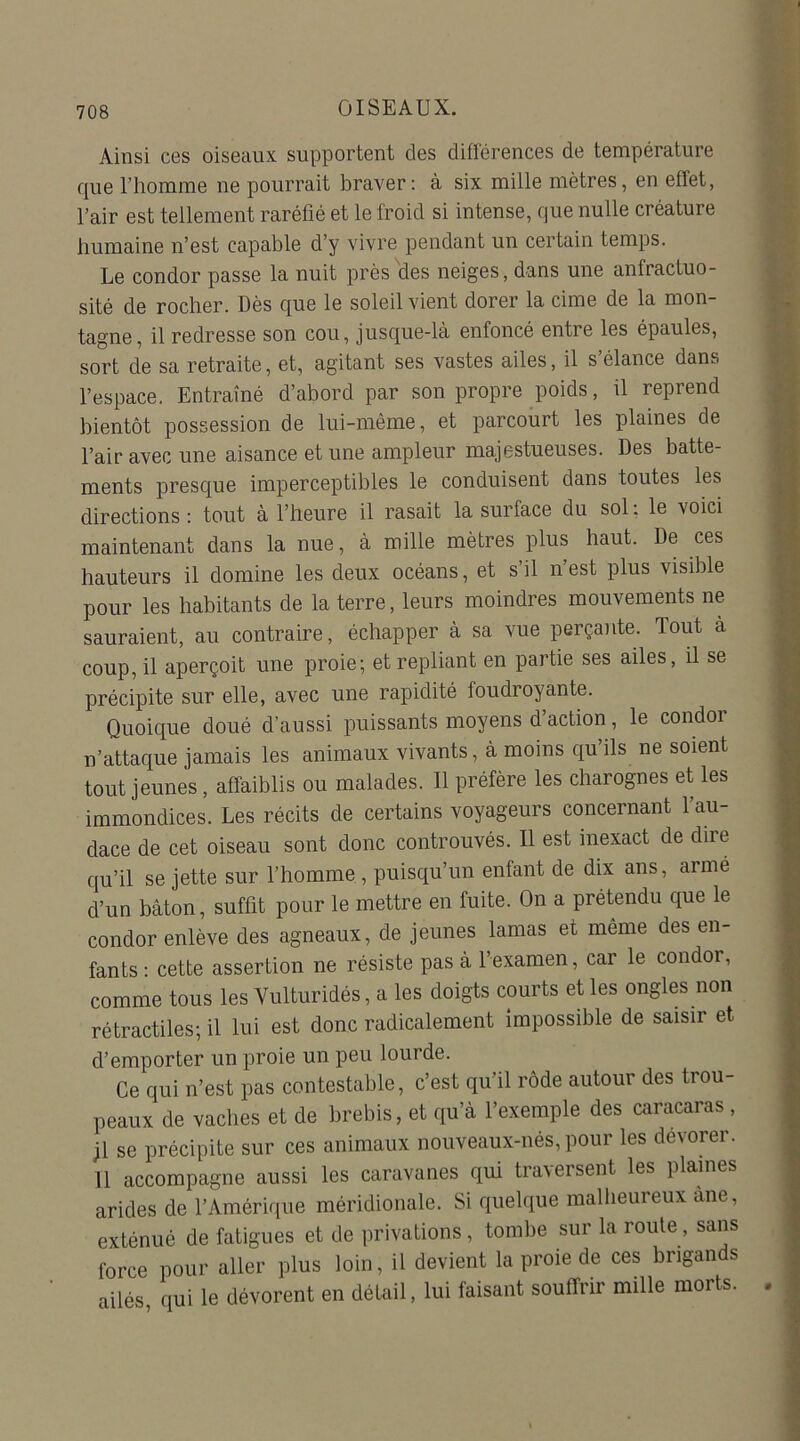 Ainsi ces oiseaux supportent des différences de température que l’homme ne pourrait braver: à six mille mètres, en effet, l’air est tellement raréfié et le froid si intense, que nulle créature humaine n’est capable d’y vivre pendant un certain temps. Le condor passe la nuit près des neiges, dans une anfractuo- sité de rocher. Dès que le soleil vient dorer la cime de la mon- tagne, il redresse son cou, jusque-là enfoncé entre les épaules, sort de sa retraite, et, agitant ses vastes ailes, il s’élance dans l’espace. Entraîné d’abord par son propre poids, il reprend bientôt possession de lui-même, et parcourt les plaines de l’air avec une aisance et une ampleur majestueuses. Des batte- ments presque imperceptibles le conduisent dans toutes les directions : tout à l’heure il rasait la surface du sol. le voici maintenant dans la nue, à mille mètres plus haut. De ces hauteurs il domine les deux océans, et s’il n’est plus visible pour les habitants de la terre, leurs moindres mouvements ne sauraient, au contraire, échapper à sa vue perçante. Tout a coup, il aperçoit une proie; et repliant en partie ses ailes, il se précipite sur elle, avec une rapidité foudroyante. Quoique doué d’aussi puissants moyens d’action, le condor n’attaque jamais les animaux vivants, à moins qu’ils ne soient tout jeunes , affaiblis ou malades. Il préfère les charognes et les immondices. Les récits de certains voyageurs concernant l’au- dace de cet oiseau sont donc controuvés. Il est inexact de dire qu’il se jette sur l’homme , puisqu’un enfant de dix ans, armé d’un bâton, suffit pour le mettre en fuite. On a prétendu que le condor enlève des agneaux, de jeunes lamas et même des en- fants : cette assertion ne résiste pas à l’examen, car le condor, comme tous les Vulturidés, a les doigts courts et les ongles non rétractiles; il lui est donc radicalement impossible de saisir et d’emporter un proie un peu lourde. Ce qui n’est pas contestable, c’est qu’il rôde autour des trou- peaux de vaches et de brebis, et qu’à l’exemple des caracaras, jl se précipite sur ces animaux nouveaux-nés, pour les dévorer. Il accompagne aussi les caravanes qui traversent les plaines arides de l’Amérique méridionale. Si quelque malheureux âne, exténué de fatigues et de privations , tombe sur la route, sans force pour aller plus loin, il devient la proie de ces brigands ailés, qui le dévorent en détail, lui faisant souffrir mille morts.