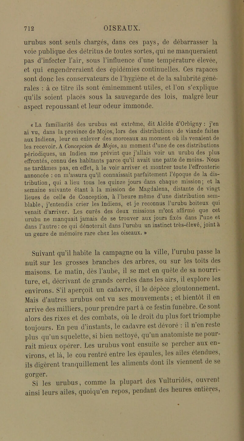 urubus sont seuls chargés, dans ces pays, de débarrasser la voie publique des détritus de toutes sortes, qui ne manqueraient pas d’infecter l’air, sous l’influence d’une température élevée, et qui engendreraient des épidémies continuelles. Ces rapaces sont donc les conservateurs de l’hygiène et de la salubrité géné- rales : à ce titre ils sont éminemment utiles, et l’on s’explique qu’ils soient placés sous la sauvegarde des lois, malgré leur aspect repoussant et leur odeur immonde. « La familiarité des urubus est extrême, dit Alcide d’Orbigny : j’en ai vu, dans la province de Mojos, lors des distributions de viande faites aux Indiens, leur en enlever des morceaux au moment où ils venaient de les recevoir. A Conception de Mojos, au moment d’une de ces distributions périodiques, un Indien me prévint que j’allais voir un urubu des plus effrontés, connu des habitants parce qu’il avait une patte de moins. Nous ne tardâmes pas, en effet, à le voir arriver et montrer toute l’effronterie annoncée : on m’assura qu’il connaissait parfaitement l’époque de la dis- tribution, qui a lieu tous les quinze jours dans chaque mission; et la semaine suivante étant à la mission de Magdalena, distante de vingt lieues de celle de Conception, à l’heure même d’une distribution sem- blable, j’entendis crier les Indiens, et je reconnus l’urubu boiteux qui venait d’arriver. Les curés des deux missions m’ont affirmé que cet urubu ne manquait jamais de se trouver aux jours fixés dans l’une et dans l’autre : ce qui dénoterait dans l’urubu un instinct très-élevé, joint à un genre de mémoire rare chez les oiseaux. » Suivant qu’il habite la campagne ou la ville, l’urubu passe la nuit sur les grosses branches des arbres, ou sur les toits des maisons. Le matin, dès l’aube, il se met en quête de sa nourri- ture, et, décrivant de grands cercles dans les airs, il explore les environs. S’il aperçoit un cadavre, il le dépèce gloutonnement. Mais d’autres urubus ont vu ses mouvements ; et bientôt il en arrive des milliers, pour prendre part à ce festin funèbre. Ce sont alors des rixes et des combats, où le droit du plus fort triomphe toujours. En peu d’instants, le cadavre est dévoré : il n’en reste plus qu’un squelette, si bien nettoyé, qu’un anatomiste ne pour- rait mieux opérer. Les urubus vont ensuite se peicbei aux en virons, et là, le cou rentré entre les épaules, les ailes étendues, ils digèrent tranquillement les aliments dont ils viennent de se gorger. Si les urubus, comme la plupart des Yulturidés, ouvrent ainsi leurs ailes, quoiqu’en repos, pendant des heures entières,