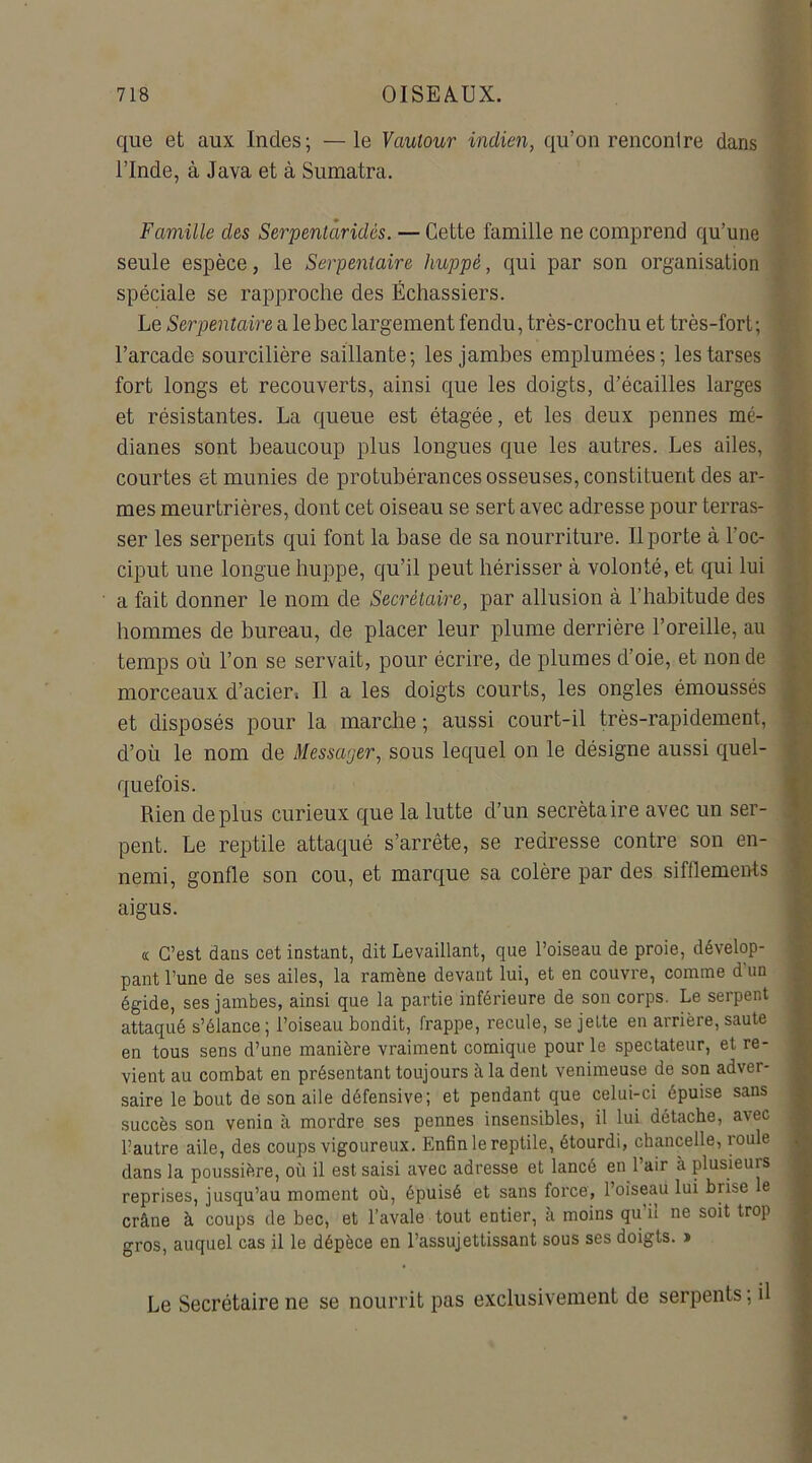 que et aux Indes; — le Vautour indien, qu’on rencontre dans l’Inde, à Java et à Sumatra. Famille des Serpentàridês. — Cette famille ne comprend qu’une seule espèce, le Serpentaire huppé, qui par son organisation spéciale se rapproche des Échassiers. Le Serpentaire a le bec largement fendu, très-crochu et très-fort; l’arcade sourcilière saillante; les jambes emplumées; les tarses fort longs et recouverts, ainsi que les doigts, d’écailles larges et résistantes. La queue est étagée, et les deux pennes mé- dianes sont beaucoup plus longues que les autres. Les ailes, courtes et munies de protubérances osseuses, constituent des ar- mes meurtrières, dont cet oiseau se sert avec adresse pour terras- ser les serpents qui font la base de sa nourriture. Il porte à l'oc- ciput une longue huppe, qu’il peut hérisser à volonté, et qui lui a fait donner le nom de Secrétaire, par allusion à l’habitude des hommes de bureau, de placer leur plume derrière l’oreille, au temps où l’on se servait, pour écrire, de plumes d’oie, et non de morceaux d’acier; Il a les doigts courts, les ongles émoussés et disposés pour la marche ; aussi court-il très-rapidement, d’où le nom de Messager, sous lequel on le désigne aussi quel- quefois. Rien déplus curieux que la lutte d’un secrétaire avec un ser- pent. Le reptile attaqué s’arrête, se redresse contre son en- nemi, gonfle son cou, et marque sa colère par des sifflements aigus. « C’est dans cet instant, dit Levaillant, que l’oiseau de proie, dévelop- pant l’une de ses ailes, la ramène devant lui, et en couvre, comme d'un égide, ses jambes, ainsi que la partie inférieure de son corps. Le serpent attaqué s’élance ; l’oiseau bondit, frappe, recule, se jelte en arrière, saute en tous sens d’une manière vraiment comique pour le spectateur, et re- vient au combat en présentant toujours à la dent venimeuse de son adver- saire le bout de son aile défensive; et pendant que celui-ci épuise sans succès son venin à mordre ses pennes insensibles, il lui détache, avec l’autre aile, des coups vigoureux. Enfin le reptile, étourdi, chancelle, roule dans la poussière, où il est saisi avec adresse et lancé en Pair à plusieurs reprises, jusqu’au moment où, épuisé et sans force, l’oiseau lui brise le crâne à coups de bec, et l’avale tout entier, à moins qu'il ne soit trop gros, auquel cas il le dépèce en l’assujettissant sous ses doigts. » Le Secrétaire ne se nourrit pas exclusivement de serpents ; il