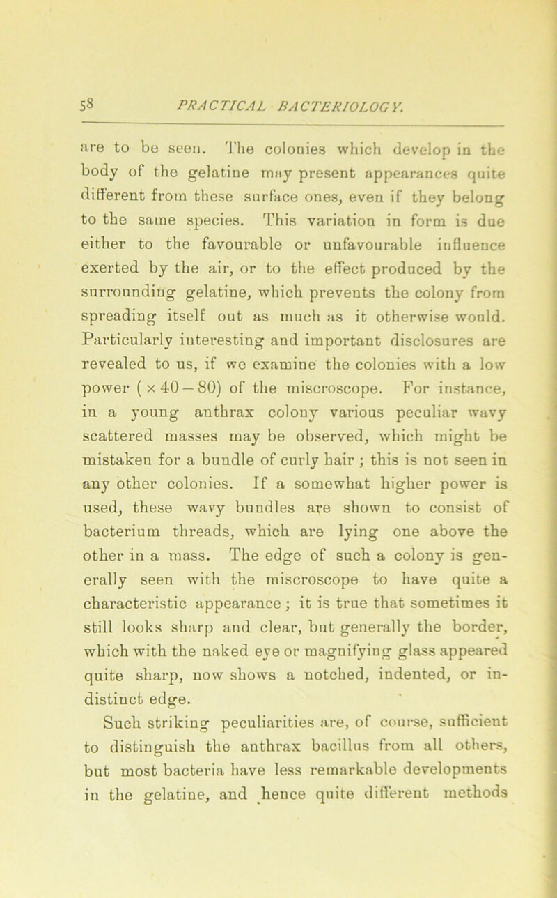 ure tü be seeii. Tlie colouies wliich develop in tbe body of tho gelatiue rnny present appearances quite different frotn these surface ones, even if they belong to the saine species. This Variation in form is due either to the favourable or unfavourable influence exerted by the air, or to the effect produced by the surroundiug gelatine, which prevents the colony from spreading itself out as mach as it otherwise would. Particularly iuteresting and important disclosures are revealed to ns, if we examine the colonies with a low power (x40 —80) of the miscroscope. For instance, in a young anthrax colony various peculiar wavy scattered inasses may be observed, which might be mistaken for a bündle of curly hair ; this is not seen in any other colonies. If a somewhat higher power is used, these wavy bundles are shown to consist of bacterium threads, which are lying one above the other in a inass. The edge of such a colony is gen- erally seen with the miscroscope to have quite a characteristic appearance; it is true that sometimes it still looks sharp and clear, but generally the border, which with the naked eye or magnifying glass appeared quite sharp, now shows a notched, indented, or in- distinct edge. Such striking peculiarities are, of course, sufficient to distinguish the anthrax bacillus from all others, but most bacteria have less remarkable developments in the gelatiue, and hence quite difterent methods
