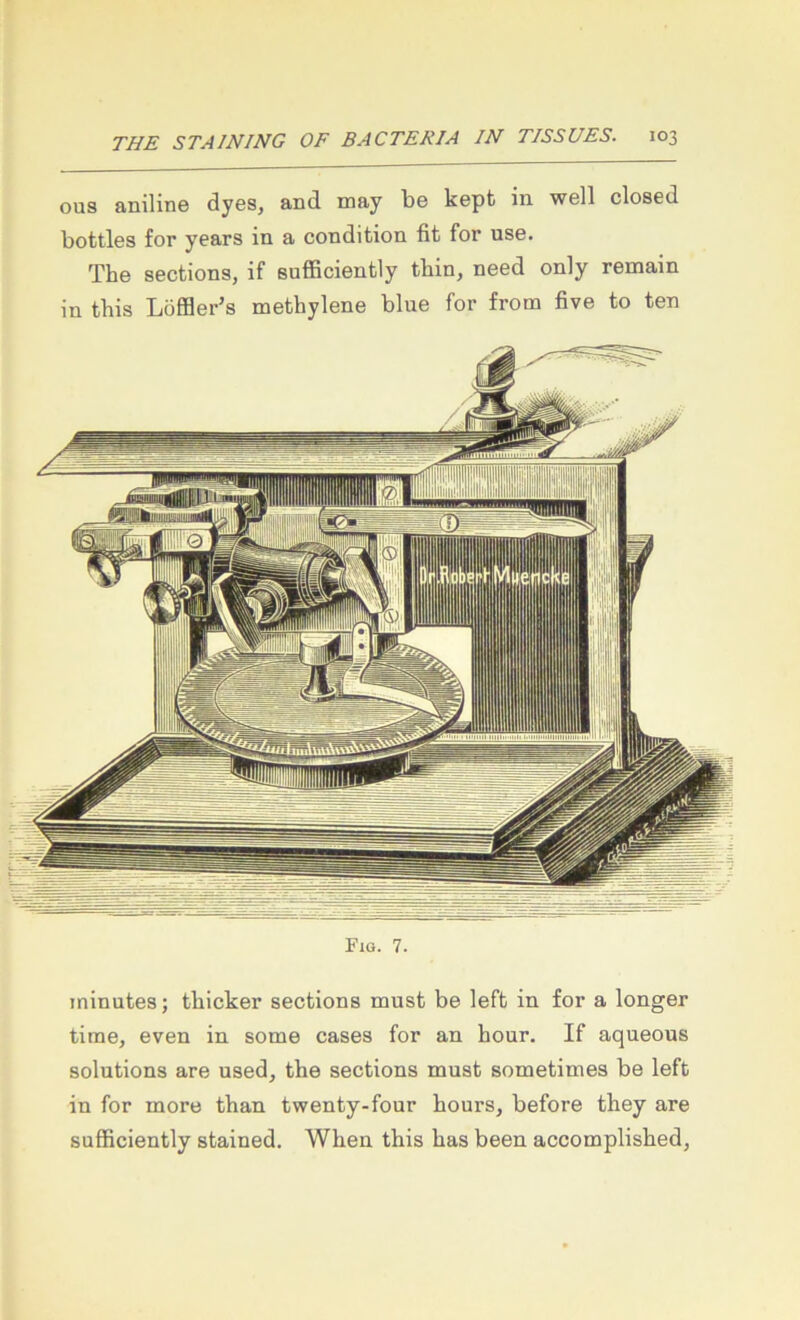 ous aniline dyes, and may be kepfc in well closed bottles for years in a condition fit for use. The sections, if sufficiently thin, need only remain in this LöfBer’s methylene blue for from five to ten Fiq. 7. ininutes; thicker sections must be left in for a longer time, even in some cases for an hour. If aqueous Solutions are used, the sections must sometimes be left in for more than twenty-four hours, before they are sufficiently stained. When this has been accomplished.