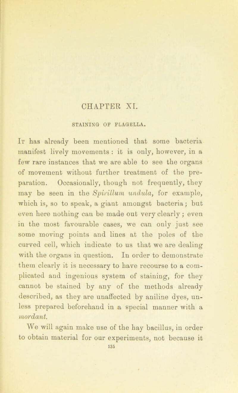 CHAPTER XL STAINING OF FLAQELLA. It has already been mentioned tbat some bacterla manifest lively movenaents : it is only, however, in a few rare instances that we are able to see tbe Organs of movement witliout furtber treatment of tlie pre- paration. Occasionally, tbougb not freqnently, tbey may be seen in tbe Spiriüum unclida, for example, wbicb is, so to speak, a giant amougst bacteria; but even bere notbing cau be made out very clearly; even in tbe most favourable cases, we can only just see some moving points and lines at tbe poles of tbe curved cell, wbicb indicate to ns tbat we are dealing witb tbe Organs in question. In Order to demonstrate tbem clearly it is necessary to bave recourse to a com- plicated and ingenious System of staining, for tbey cannot be staiued by any of tbe metbods already described, as tbey are unaffected by aniline dyes, un- less prepared beforeband in a special manner witb a mordant. We will again make use of tbe bay bacillus, in Order to obtain material for our experiments, not because it