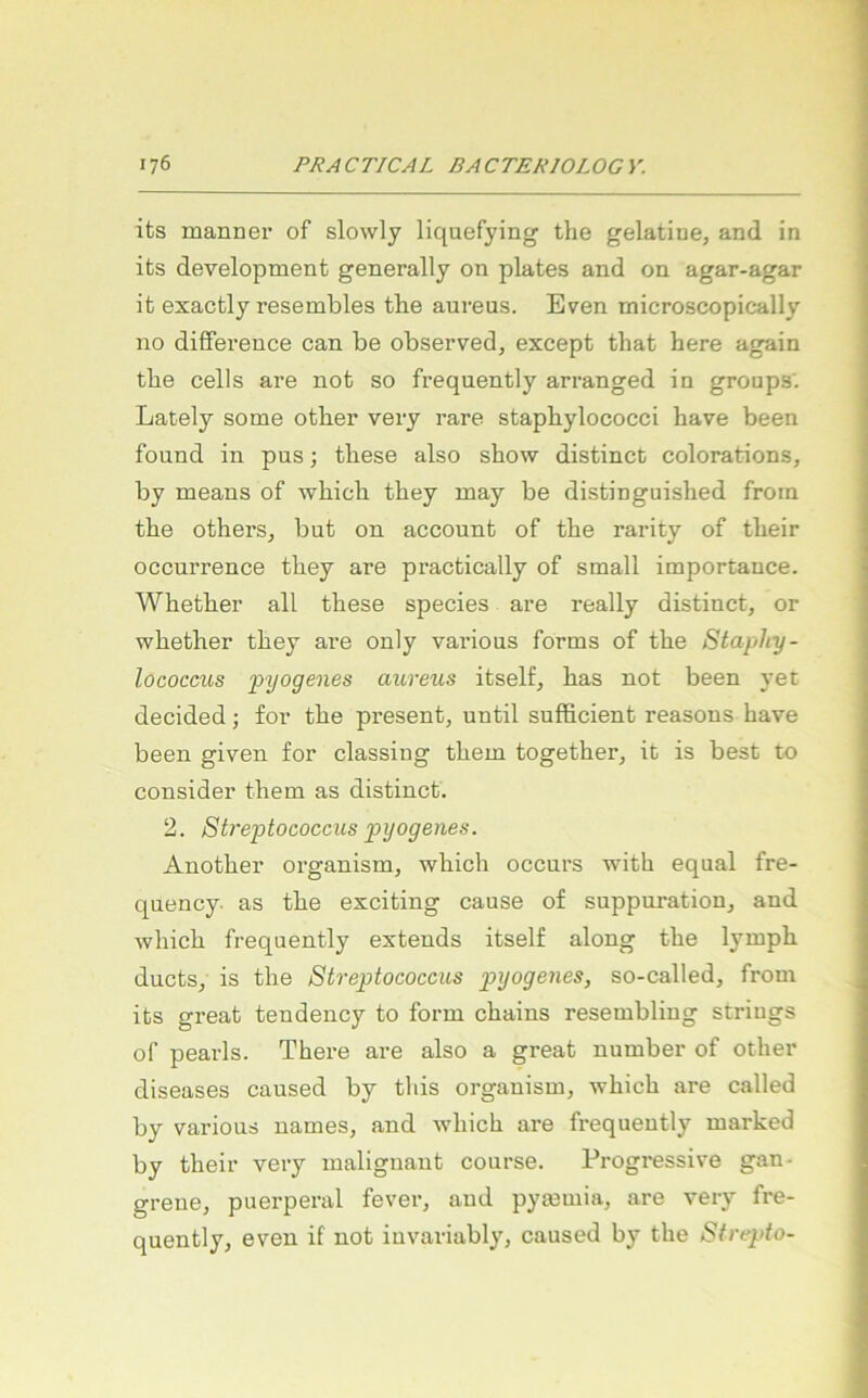 its mann er of slowly liquefying the gelatine, and in ifcs development generally on plates and on agar-agar it exactly resembles the aureus. Even microscopically no difFerence can be observed, except that here again the cells are not so frequently arranged in groups'. Lately some other very rare staphylococci have been found in pus; these also show distinct colorations, by means of which they may be distinguished frora the others, but on account of the rarity of their occurrence they are practically of small importance. Whether all these species are really distinct, or whether they are only various forms of the Staphy- lococcus pyogenes aureus itself, has not been }'et decided; for the present, until sufficient reasons have been given for classiug them together, it is best to consider them as distinct. 2. Streptococcus pyogenes. Another organism, which occurs with equal fre- quency- as the exciting cause of suppuration, and which frequently extends itself along the lymph ducts, is the Streptococcus pyogenes, so-called, from its great tendency to form chains resembling striugs of pearls. There are also a great number of other diseases caused by tliis organism, which are called by various names, and which are frequently marked by their very malignant course. Progressive gan- grene, puerperal fever, and pymmia, are very fre- quently, even if not invariabl}', caused by the Strepto-