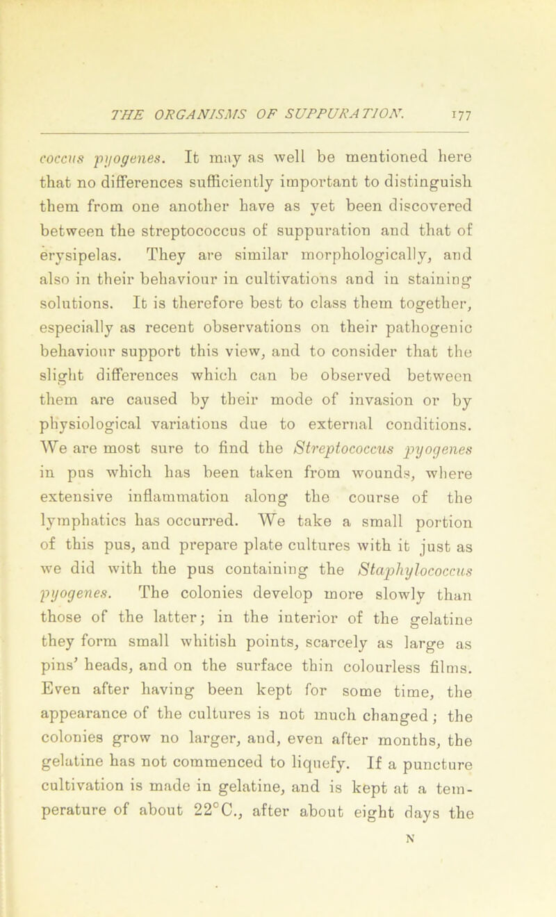 cocciis ■pyogenes. It may as well be mentioned liere tliat no differences sufficiently important to distinguisli them from one another liave as yet been discovered between the Streptococcus o£ suppuration and that of erysipelas. They are similar morpliologically, and also in their bebaviour in cultivations and in staining Solutions. It is therefore best to dass them together, especially as recent observations on their pathogenic behavioiir Support this view^ and to consider that the slight differences whicli can be observed between them are caused by their mode of invasion or by physiological variations due to external conditions. We are most sure to find the Streptococcus p'yogenes in pus whicli has been taken from wounds, where extensive inflammation along the course of the lymphatics has occurred. We take a small portion of this pus, and prepare plate cultures with it just as we did with the pus containing the Staphylococcus pyogenes. The colonies develop more slowly than those of the latter; in the interior of the gelatine they form small whitish points, scarcely as large as pins’ heads, and on the surface thin colourless films. Even after having been kept for some time, the appearance of the cultures is not much changed; the colonies grow no larger, aud, even after months, the gelatine has not commenced to liquefy. If a puncture cultivation is made in gelatine, and is kept at a tem- perature of about 22°C., after about eight days the N