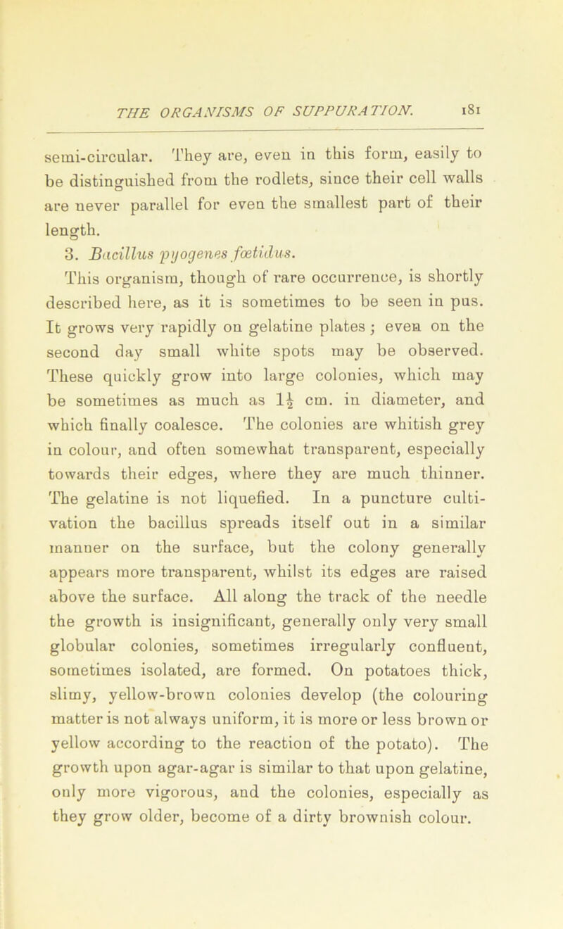 semi-circular. Thej are, eveu in this form, easily to be distinguislied from tbe rodlets, since their cell walls are never parallel for eveu tlie smallesfc part of their length. 3. Sacillus fijogenes foetidus. This organisra, though of rare occurreuce, is shortly described here, as it is soraetimes to be seen in pus. It grows very rapidly ou gelatine plates •, even on the second day small white spots may be observed. These quickly grow into large colonies, which may be sometimes as much as cm. in diameter, and which Bnally coalesce. The colonies are whitish grey in colour, and often somewhat transparent, especially towards their edges, where they are much thinner. The gelatine is not liquefied. In a puncture culti- vation the bacillus spreads itself out in a similar inanner on the surface, but the colony generally appears more transparent, whilst its edges are raised above the surface. All along the track of the needle the growth is insignificant, generally only very small globular colonies, sometimes irregulai-ly confluent, sometimes isolated, are formed. On potatoes thick, slimy, yellow-brown colonies develop (the colouring matter is not always uniform, it is more or less brown or yellow according to the reaction of the potato). The growth upon agar-agar is similar to that upon gelatine, only more vigorous, and the colonies, especially as they grow older, become of a dirty brownish colour.