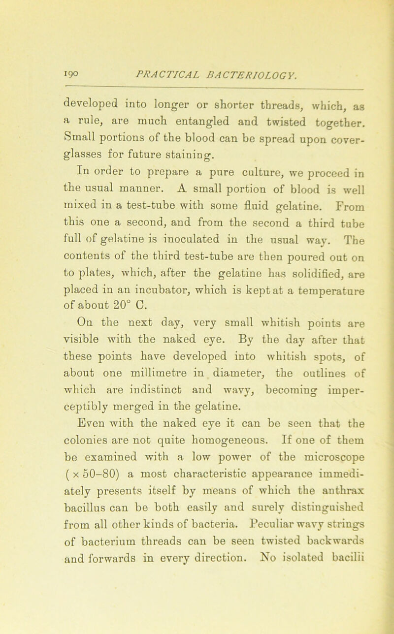 developed into longer or shorter threads, which, as a rule, are niucli entangled and twisted together. Small portions of the blood can be spread upon cover- glasses for fafcure stainino’. In Order to prepare a pure culture, we proceed in the usual manner. A small portion of blood is well mixed in a test-tube with some fluid gelatine. From this one a second, and from the second a third tube full of gelatine is inoculated in the usual waj. The Contents of the third test-tube are then poured out on to plates, which, after the gelatine has solidified, are placed in an incubator, which is kept at a temperature of about 20° C. On the next day, very small whitish points are visible with the naked eye. By the day after that these points have developed into whitish spots, of about one millimetre in diameter, the outlines of which are indistinct and wavy, becoming imper- ceptibly merged in the gelatine. Even with the naked eye it can be seen that the colonies are not quite homogeneous. If one of them be examined with a low power of the microscope ( X 50-80) a most characteristic appearance immedi- ately presents itself by means of which the anthrax bacillus can be both easily and snrely distinguished from all other kinds of bacteria. Peculiar wavy strings of bacterium threads can be seen twisted backwards and forwards in every direction. No isolated bacilii