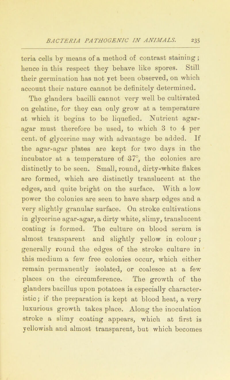 teria cells by means ofa method of contrasfc staining; lience in this respect they behave like spores. Still their germination has not yet beeu observed, on which account their nature cannot be definitely determined. The glanders bacilli cannot very well be cultivated on gelatine, for they can only grow at a temperature at which it beging to be liqnefied. Nutrient agar- agar must therefore be used, to which 3 to 4 per Cent, of glycerine may with advantage be added. If the agar-agar plates are kept for two days in the incubator at a temperature of 37°, the colonies are distinctly to be seen. Small, round, dirty-white liakes are formed, which are distinctly translucent at the edges, and quite bright on the surface. With a low power the colonies are seen to have sharp edges and a very slightly granulär surface. On stroke cultivations in glycerine agar-agar, a dirty white, slimy, translucent coating is formed. The culture on blood serum is almost transparent and slightly yellow in colour; generally round the edges of the stroke culture in this medium a few free colonies occur, which either remain permanently isolated, or coalesce at a few places on the circumference. The growth of the glanders bacillus upon potatoes is especially character- istic; if the preparation is kept at blood heat, a very luxurious growth takes place. Along the inoculation stroke a slimy coating appears, which at first is yellowish and almost transparent, but which becomes