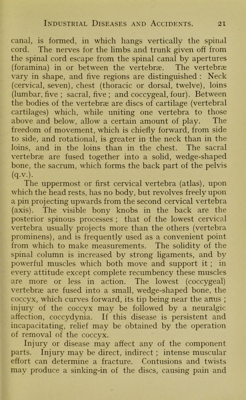 canal, is formed, in which hangs vertically the spinal cord. The nerves for the limbs and trunk given off from the spinal cord escape from the spinal canal by apertures (foramina) in or between the vertebrae. The vertebrae vary in shape, and five regions are distinguished : Neck (cervical, seven), chest (thoracic or dorsal, twelve), loins (lumbar, five ; sacral, five ; and coccygeal, four). Between the bodies of the vertebrae are discs of cartilage (vertebral cartilages) which, while uniting one vertebra to those above and below, allow a certain amount of play. The freedom of movement, which is chiefly forward, from side to side, and rotational, is greater in the neck than in the loins, and in the loins than in the chest. The sacral vertebrae are fused together into a solid, wedge-shaped bone, the sacrum, which forms the back part of the pelvis (q.v.). The uppermost or first cervical vertebra (atlas), upon which the head rests, has no body, but revolves freely upon a pin projecting upwards from the second cervical vertebra (axis). The visible bony knobs in the back are the posterior spinous processes ; that of the lowest cervical vertebra usually projects more than the others (vertebra prominens), and is frequently used as a convenient point from which to make measurements. The solidity of the spinal column is increased by strong ligaments, and by powerful muscles which both move and support it ; in every attitude except complete recumbency these muscles are more or less in action. The lowest (coccygeal) vertebrae are fused into a small, wedge-shaped bone, the coccyx, which curves forward, its tip being near the anus ; injury of the coccyx may be followed by a neuralgic affection, coccydynia. If this disease is persistent and incapacitating, relief may be obtained by the operation of removal of the coccyx. Injury or disease may affect any of the component parts. Injury may be direct, indirect ; intense muscular effort can determine a fracture. Contusions and twists may produce a sinking-in of the discs, causing pain and