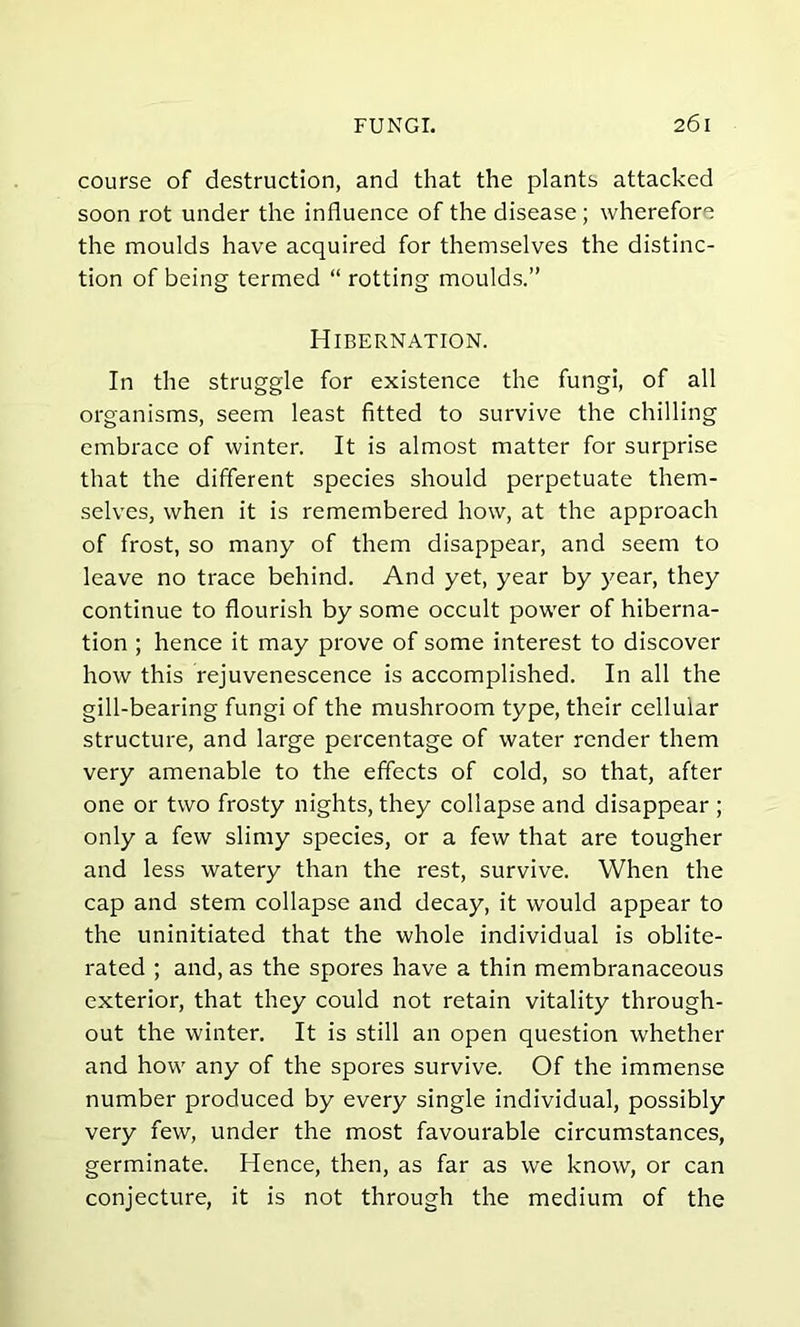 course of destruction, and that the plants attacked soon rot under the influence of the disease ; wherefore the moulds have acquired for themselves the distinc- tion of being termed “ rotting moulds.” Hibernation. In the struggle for existence the fungi, of all organisms, seem least fitted to survive the chilling embrace of winter. It is almost matter for surprise that the different species should perpetuate them- selves, when it is remembered how, at the approach of frost, so many of them disappear, and seem to leave no trace behind. And yet, year by year, they continue to flourish by some occult power of hiberna- tion ; hence it may prove of some interest to discover how this rejuvenescence is accomplished. In all the gill-bearing fungi of the mushroom type, their cellular structure, and large percentage of water render them very amenable to the effects of cold, so that, after one or two frosty nights, they collapse and disappear ; only a few slimy species, or a few that are tougher and less watery than the rest, survive. When the cap and stem collapse and decay, it would appear to the uninitiated that the whole individual is oblite- rated ; and, as the spores have a thin membranaceous exterior, that they could not retain vitality through- out the winter. It is still an open question whether and how any of the spores survive. Of the immense number produced by every single individual, possibly very few, under the most favourable circumstances, germinate. Hence, then, as far as we know, or can conjecture, it is not through the medium of the