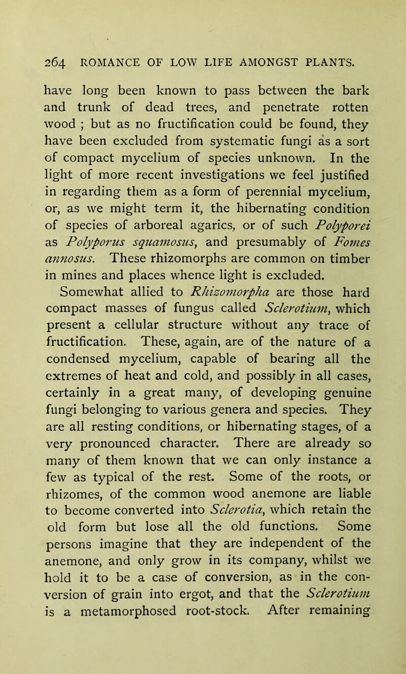 have long been known to pass between the bark and trunk of dead trees, and penetrate rotten wood ; but as no fructification could be found, they have been excluded from systematic fungi as a sort of compact mycelium of species unknown. In the light of more recent investigations we feel justified in regarding them as a form of perennial mycelium, or, as we might term it, the hibernating condition of species of arboreal agarics, or of such Polyporei as Polyporus squainosus, and presumably of Fotnes annosus. These rhizomorphs are common on timber in mines and places whence light is excluded. Somewhat allied to Rhizomorpha are those hard compact masses of fungus called Sclerotium, which present a cellular structure without any trace of fructification. These, again, are of the nature of a condensed mycelium, capable of bearing all the extremes of heat and cold, and possibly in all cases, certainly in a great many, of developing genuine fungi belonging to various genera and species. They are all resting conditions, or hibernating stages, of a very pronounced character. There are already so many of them known that we can only instance a few as typical of the rest. Some of the roots, or rhizomes, of the common wood anemone are liable to become converted into Sclcrotia, which retain the old form but lose all the old functions. Some persons imagine that they are independent of the anemone, and only grow in its company, whilst we hold it to be a case of conversion, as in the con- version of grain into ergot, and that the Sclerotium is a metamorphosed root-stock. After remaining