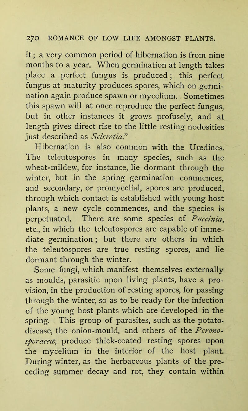it; a very common period of hibernation is from nine months to a year. When germination at length takes place a perfect fungus is produced; this perfect fungus at maturity produces spores, which on germi- nation again produce spawn or mycelium. Sometimes this spawn will at once reproduce the perfect fungus, but in other instances it grows profusely, and at length gives direct rise to the little resting nodosities just described as Sclerotia.” Hibernation is also common with the Uredines. The teleutospores in many species, such as the wheat-mildew, for instance, lie dormant through the winter, but in the spring germination commences, and secondary, or promycelial, spores are produced, through which contact is established with young host plants, a new cycle commences, and the species is perpetuated. There are some species of Puccinia, etc., in which the teleutospores are capable of imme- diate germination ; but there are others in which the teleutospores are true resting spores, and lie dormant through the winter. Some fungi, which manifest themselves externally as moulds, parasitic upon living plants, have a pro- vision, in the production of resting spores, for passing through the winter, so as to be ready for the infection of the young host plants which are developed in the spring. This group of parasites, such as the potato- disease, the onion-mould, and others of the Perono- sporacecz, produce thick-coated resting spores upon the mycelium in the interior of the host plant. During winter, as the herbaceous plants of the pre- ceding summer decay and rot, they contain within