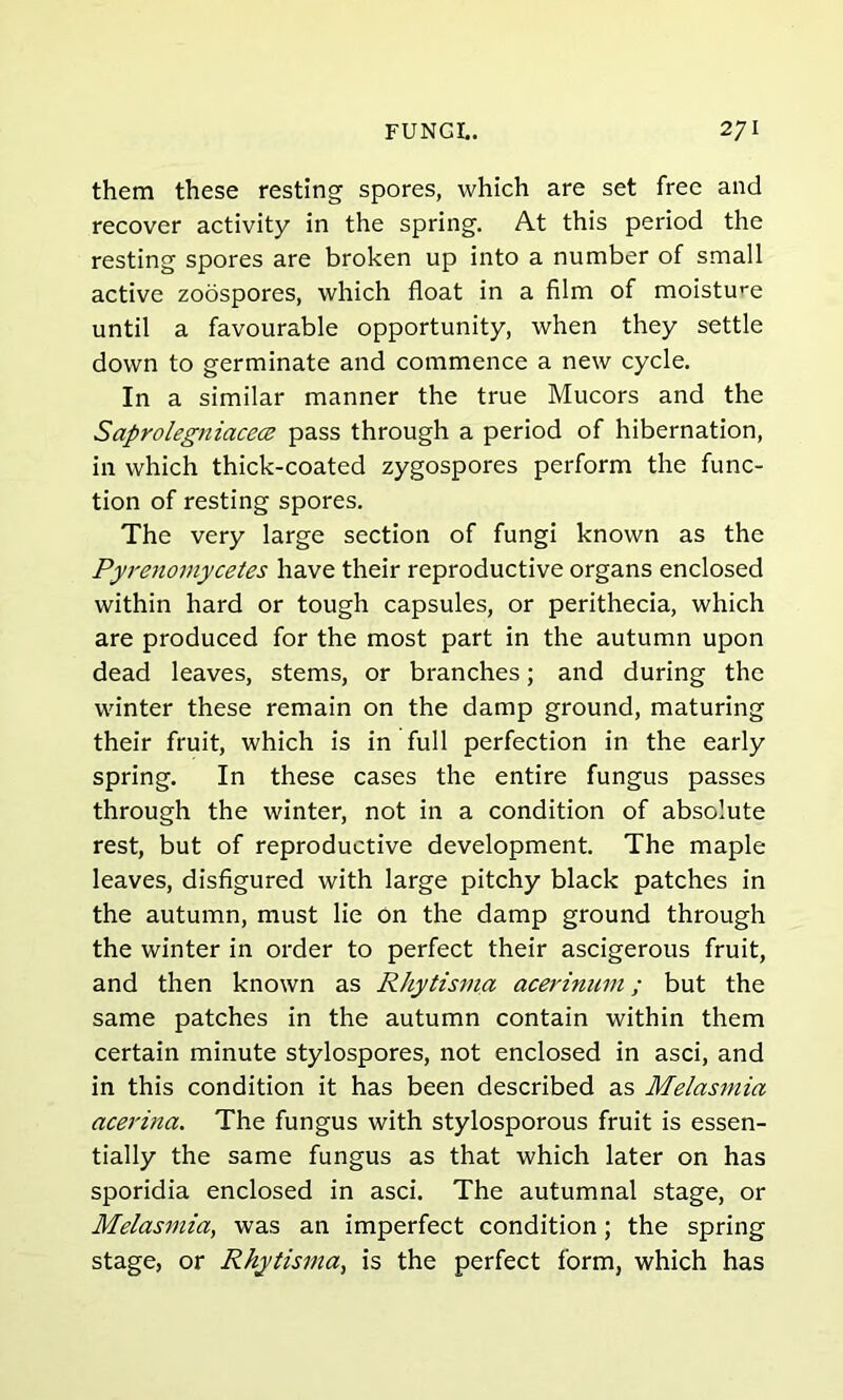 them these resting spores, which are set free and recover activity in the spring. At this period the resting spores are broken up into a number of small active zoospores, which float in a film of moisture until a favourable opportunity, when they settle down to germinate and commence a new cycle. In a similar manner the true Mucors and the Saprolegniacece pass through a period of hibernation, in which thick-coated zygospores perform the func- tion of resting spores. The very large section of fungi known as the Pyrenomycetes have their reproductive organs enclosed within hard or tough capsules, or perithecia, which are produced for the most part in the autumn upon dead leaves, stems, or branches; and during the winter these remain on the damp ground, maturing their fruit, which is in full perfection in the early spring. In these cases the entire fungus passes through the winter, not in a condition of absolute rest, but of reproductive development. The maple leaves, disfigured with large pitchy black patches in the autumn, must lie on the damp ground through the winter in order to perfect their ascigerous fruit, and then known as Rhytisma acerinum; but the same patches in the autumn contain within them certain minute stylospores, not enclosed in asci, and in this condition it has been described as Melasmia acerina. The fungus with stylosporous fruit is essen- tially the same fungus as that which later on has sporidia enclosed in asci. The autumnal stage, or Melasmia, was an imperfect condition; the spring stage, or Rhytisma, is the perfect form, which has
