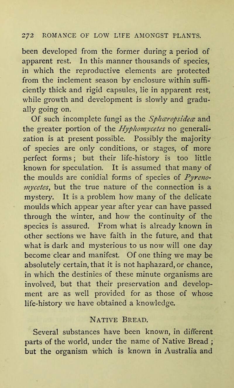 been developed from the former during a period of apparent rest. In this manner thousands of species, in which the reproductive elements are protected from the inclement season by enclosure within suffi- ciently thick and rigid capsules, lie in apparent rest, while growth and development is slowly and gradu- ally going on. Of such incomplete fungi as the Splicer op sidece and the greater portion of the Hyphomycetes no generali- zation is at present possible. Possibly the majority of species are only conditions, or stages, of more perfect forms; but their life-history is too little known for speculation. It is assumed that many of the moulds are conidial forms of species of Pyreno- mycetes, but the true nature of the connection is a mystery. It is a problem how many of the delicate moulds which appear year after year can have passed through the winter, and how the continuity of the species is assured. From what is already known in other sections we have faith in the future, and that what is dark and mysterious to us now will one day become clear and manifest. Of one thing we may be absolutely certain, that it is not haphazard, or chance, in which the destinies of these minute organisms are involved, but that their preservation and develop- ment are as well provided for as those of whose life-history we have obtained a knowledge. Native Bread. Several substances have been known, in different parts of the world, under the name of Native Bread ; but the organism which is known in Australia and