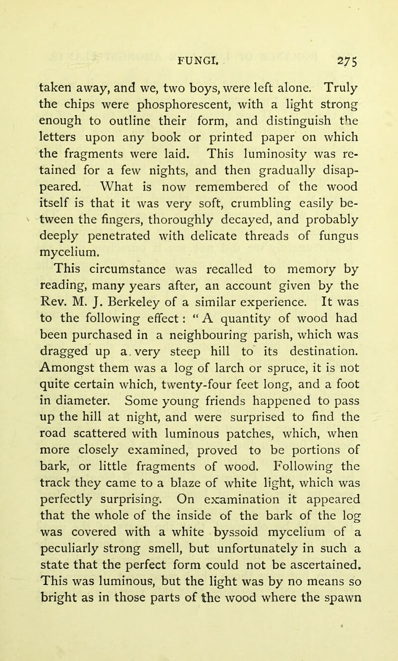 taken away, and we, two boys, were left alone. Truly the chips were phosphorescent, with a light strong enough to outline their form, and distinguish the letters upon any book or printed paper on which the fragments were laid. This luminosity was re- tained for a few nights, and then gradually disap- peared. What is now remembered of the wood itself is that it was very soft, crumbling easily be- tween the fingers, thoroughly decayed, and probably deeply penetrated with delicate threads of fungus mycelium. This circumstance was recalled to memory by reading, many years after, an account given by the Rev. M. J. Berkeley of a similar experience. It was to the following effect: “ A quantity of wood had been purchased in a neighbouring parish, which was dragged up a. very steep hill to its destination. Amongst them was a log of larch or spruce, it is not quite certain which, twenty-four feet long, and a foot in diameter. Some young friends happened to pass up the hill at night, and were surprised to find the road scattered with luminous patches, which, when more closely examined, proved to be portions of bark, or little fragments of wood. Following the track they came to a blaze of white light, which was perfectly surprising. On examination it appeared that the whole of the inside of the bark of the log was covered with a white byssoid mycelium of a peculiarly strong smell, but unfortunately in such a state that the perfect form could not be ascertained. This was luminous, but the light was by no means so bright as in those parts of the wood where the spawn