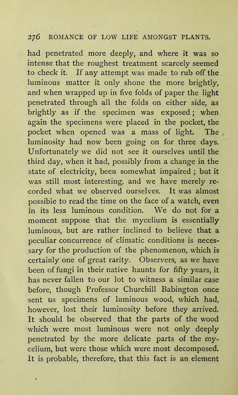 had penetrated more deeply, and where it was so intense that the roughest treatment scarcely seemed to check it. If any attempt was made to rub off the luminous matter it only shone the more brightly, and when wrapped up in five folds of paper the light penetrated through all the folds on either side, as brightly as if the specimen was exposed; when again the specimens were placed in the pocket, the pocket when opened was a mass of light. The luminosity had now been going on for three days. Unfortunately we did not see it ourselves until the third day, when it had, possibly from a change in the state of electricity, been somewhat impaired ; but it was still most interesting, and we have merely re- corded what we observed ourselves. It was almost possible to read the time on the face of a watch, even in its less luminous condition. We do not for a moment suppose that the mycelium is essentially luminous, but are rather inclined to believe that a peculiar concurrence of climatic conditions is neces- sary for the production of the phenomenon, which is certainly one of great rarity. Observers, as we have been of fungi in their native haunts for fifty years, it has never fallen to our lot to witness a similar case before, though Professor Churchill Babington once sent us specimens of luminous wood, which had, however, lost their luminosity before they arrived. It should be observed that the parts of the wood which were most luminous were not only deeply penetrated by the more delicate parts of the my- celium, but were those which were most decomposed. It is probable, therefore, that this fact is an element
