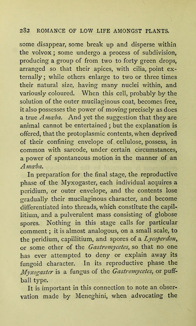 some disappear, some break up and disperse within the volvox; some undergo a process of subdivision, producing a group of from two to forty green drops, arranged so that their apices, with cilia, point ex- ternally ; while others enlarge to two or three times their natural size, having many nuclei within, and variously coloured. When this cell, probably by the solution of the outer mucilaginous coat, becomes free, it also possesses the power of moving precisely as does a true Amoeba. And yet the suggestion that they are animal cannot be entertained ; but the explanation is offered, that the protoplasmic contents, when deprived of their confining envelope of cellulose, possess, in common with sarcode, under certain circumstances, a power of spontaneous motion in the manner of an A mceba. In preparation for the final stage, the reproductive phase of the Myxogaster, each individual acquires a peridium, or outer envelope, and the contents lose gradually their mucilaginous character, and become differentiated into threads, which constitute the capil- litium, and a pulverulent mass consisting of globose spores. Nothing in this stage calls for particular comment; it is almost analogous, on a small scale, to the peridium, capillitium, and spores of a Lycoperdon, or some other of the Gastromycetes, so that no one has ever attempted to deny or explain away its fungoid character. In its reproductive phase the Myxogaster is a fungus of the Gastromycetes, or puff- ball type. It is important in this connection to note an obser- vation made by Meneghini, when advocating the