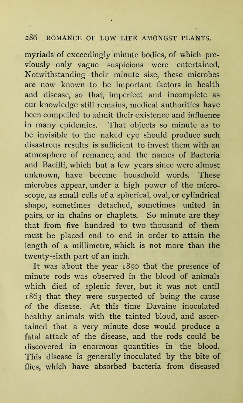 myriads of exceedingly minute bodies, of which pre- viously only vague suspicions were entertained. Notwithstanding their minute size, these microbes are now known to be important factors in health and disease, so that, imperfect and incomplete as our knowledge still remains, medical authorities have been compelled to admit their existence and influence in many epidemics. That objects so minute as to be invisible to the naked eye should produce such disastrous results is sufficient to invest them with an atmosphere of romance, and the names of Bacteria and Bacilli, which but a few years since were almost unknown, have become household words. These microbes appear, under a high power of the micro- scope, as small cells of a spherical, oval, or cylindrical shape, sometimes detached, sometimes united in pairs, or in chains or chaplets. So minute are they that from five hundred to two thousand of them must be placed end to end in order to attain the length of a millimetre, which is not more than the twenty-sixth part of an inch. It was about the year 1850 that the presence of minute rods was observed in the blood of animals which died of splenic fever, but it was not until 1863 that they were suspected of being the cause of the disease. At this time Davaine inoculated healthy animals with the tainted blood, and ascer- tained that a very minute dose would produce a fatal attack of the disease, and the rods could be discovered in enormous quantities in the blood. This disease is generally inoculated by the bite of flies, which have absorbed bacteria from diseased