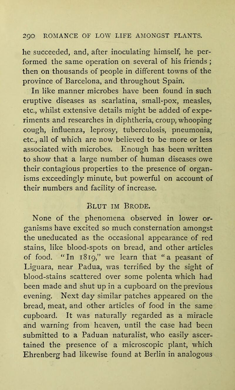 he succeeded, and, after inoculating himself, he per- formed the same operation on several of his friends ; then on thousands of people in different towns of the province of Barcelona, and throughout Spain. In like manner microbes have been found in such eruptive diseases as scarlatina, small-pox, measles, etc., whilst extensive details might be added of expe- riments and researches in diphtheria, croup, whooping cough, influenza, leprosy, tuberculosis, pneumonia, etc., all of which are now believed to be more or less associated with microbes. Enough has been written to show that a large number of human diseases owe their contagious properties to the presence of organ- isms exceedingly minute, but powerful on account of their numbers and facility of increase. Blut im Brode. None of the phenomena observed in lower or- ganisms have excited so much consternation amongst the uneducated as the occasional appearance of red stains, like blood-spots on bread, and other articles of food. “In 1819,” we learn that “a peasant of Liguara, near Padua, was terrified by the sight of blood-stains scattered over some polenta which had been made and shut up in a cupboard on the previous evening. Next day similar patches appeared on the bread, meat, and other articles of food in the same cupboard. It was naturally regarded as a miracle and warning from heaven, until the case had been submitted to a Paduan naturalist, who easily ascer- tained the presence of a microscopic plant, which Ehrenberg had likewise found at Berlin in analogous