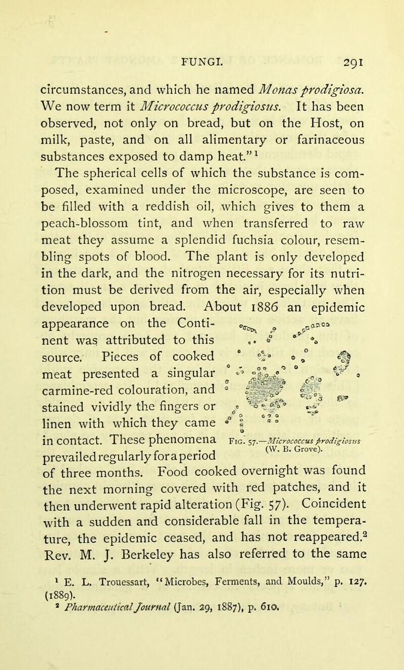 circumstances, and which he named Monas prodigiosa. We now term it Micrococcusprodigiosus. It has been observed, not only on bread, but on the Host, on milk, paste, and on all alimentary or farinaceous substances exposed to damp heat.”1 The spherical cells of which the substance is com- posed, examined under the microscope, are seen to be filled with a reddish oil, which gives to them a peach-blossom tint, and when transferred to raw meat they assume a splendid fuchsia colour, resem- bling spots of blood. The plant is only developed in the dark, and the nitrogen necessary for its nutri- tion must be derived from the air, especially when developed upon bread. About 1886 an epidemic appearance on the Conti- ^ ? pQq.»o» nent was attributed to this «. § ^ source. Pieces of cooked * meat presented a singular J ° 'fc/ * carmine-red colouration, and 0 i \ / » e stained vividly the fingers or j linen with which they came 3 o in contact. These phenomena fig.' 57.—Micrococcus prodigiosus prevailed regularly for a period of three months. Food cooked overnight was found the next morning covered with red patches, and it then underwent rapid alteration (Fig. 57). Coincident with a sudden and considerable fall in the tempera- ture, the epidemic ceased, and has not reappeared.2 Rev. M. J. Berkeley has also referred to the same 1 E. L. Trouessart, “Microbes, Ferments, and Moulds,” p. 127. (1889). s Pharmaceutical Journal (Jan. 29, 1887), p. 610.
