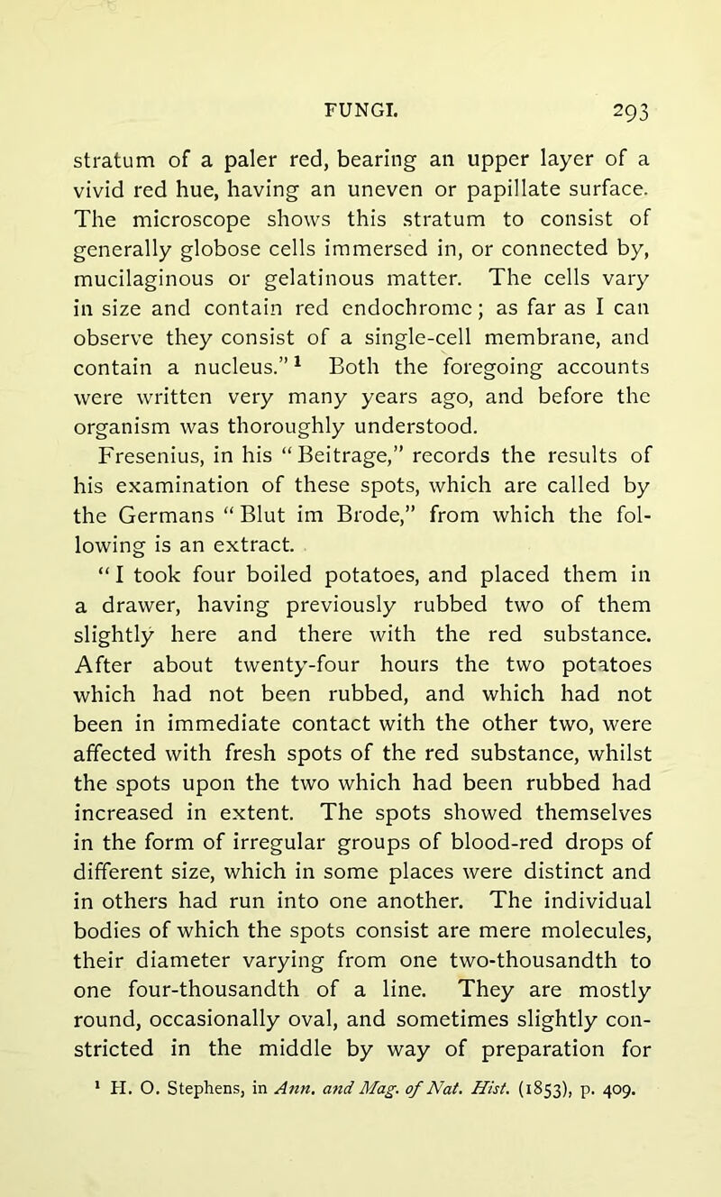 stratum of a paler red, bearing an upper layer of a vivid red hue, having an uneven or papillate surface. The microscope shows this stratum to consist of generally globose cells immersed in, or connected by, mucilaginous or gelatinous matter. The cells vary in size and contain red endochromc; as far as I can observe they consist of a single-cell membrane, and contain a nucleus.”1 Both the foregoing accounts were written very many years ago, and before the organism was thoroughly understood. Fresenius, in his “Beitrage,” records the results of his examination of these spots, which are called by the Germans “ Blut im Brode,” from which the fol- lowing is an extract. “ I took four boiled potatoes, and placed them in a drawer, having previously rubbed two of them slightly here and there with the red substance. After about twenty-four hours the two potatoes which had not been rubbed, and which had not been in immediate contact with the other two, were affected with fresh spots of the red substance, whilst the spots upon the two which had been rubbed had increased in extent. The spots showed themselves in the form of irregular groups of blood-red drops of different size, which in some places were distinct and in others had run into one another. The individual bodies of which the spots consist are mere molecules, their diameter varying from one two-thousandth to one four-thousandth of a line. They are mostly round, occasionally oval, and sometimes slightly con- stricted in the middle by way of preparation for 1 H. O. Stephens, in Ann. and Mag. of Nat. Hist. (1853), p. 409.