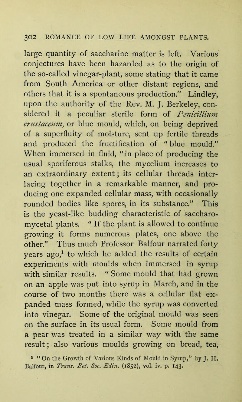 large quantity of saccharine matter is left. Various conjectures have been hazarded as to the origin of the so-called vinegar-plant, some stating that it came from South America or other distant regions, and others that it is a spontaneous production.” Lindley, upon the authority of the Rev. M. J. Berkeley, con- sidered it a peculiar sterile form of Penicillium crustaceum, or blue mould, which, on being deprived of a superfluity of moisture, sent up fertile threads and produced the fructification of “ blue mould.” When immersed in fluid, “in place of producing the usual sporiferous stalks, the mycelium increases to an extraordinary extent; its cellular threads inter- lacing together in a remarkable manner, and pro- ducing one expanded cellular mass, with occasionally rounded bodies like spores, in its substance.” This is the yeast-like budding characteristic of saccharo- mycetal plants. “ If the plant is allowed to continue growing it forms numerous plates, one above the other.” Thus much Professor Balfour narrated forty years ago,1 to which he added the results of certain experiments with moulds when immersed in syrup with similar results. “ Some mould that had grown on an apple was put into syrup in March, and in the course of two months there was a cellular flat ex- panded mass formed, while the syrup was converted into vinegar. Some of the original mould was seen on the surface in its usual form. Some mould from a pear was treated in a similar way with the same result; also various moulds growing on bread, tea, 1 “On the Growth of Various Kinds of Mould in Syrup,” by J. H. Balfour, in Trans. Bot. Soc. Edin. (1852), vol. iv. p. 143.