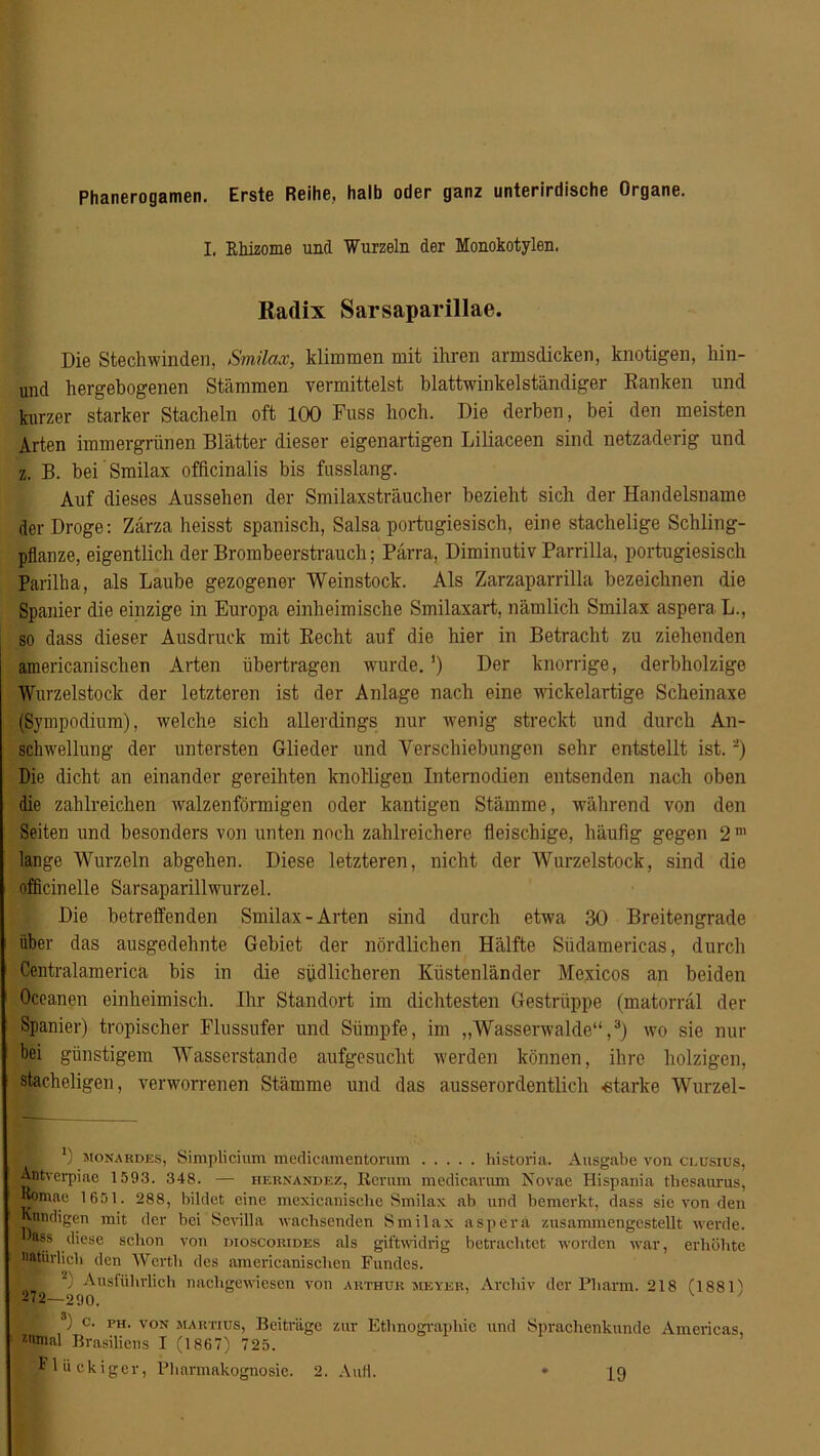 Phanerogamen. Erste Reihe, halb oder ganz unterirdische Organe. I. Rhizome und Wurzeln der Monokotylen. Radix Sarsaparillae. Die Stechwinden, Smilax, klimmen mit ihren armsdicken, knotigen, hin- und hergebogenen Stämmen vermittelst blattwinkel ständiger Ranken und kurzer starker Stacheln oft 100 Fass hoch. Die derben, bei den meisten Arten immergrünen Blätter dieser eigenartigen Liliaceen sind netzaderig und z. B. bei Smilax officinalis bis fusslang. Auf dieses Aussehen der Smilaxsträucher bezieht sich der Handelsname der Droge: Zärza heisst spanisch, Salsa portugiesisch, eine stachelige Schling- pflanze, eigentlich der Brombeerstrauch; Pärra, Diminutiv Parrilla, portugiesisch Parilha, als Laube gezogener Weinstock. Als Zarzaparrilla bezeichnen die Spanier die einzige in Europa einheimische Smilaxart, nämlich Smilax aspera L., so dass dieser Ausdruck mit Recht auf die hier in Betracht zu ziehenden americanischen Arten übertragen wurde. ’) Der knorrige, derbholzige Wurzelstock der letzteren ist der Anlage nach eine wickelartige Scheinaxe (Sympodium), welche sich allerdings nur wenig streckt und durch An- schwellung der untersten Glieder und Verschiebungen sehr entstellt ist. •) Die dicht an einander gereihten knolligen Internodien entsenden nach oben die zahlreichen walzenförmigen oder kantigen Stämme, während von den Seiten und besonders von unten noch zahlreichere fleischige, häufig gegen 2 m lange Wurzeln abgehen. Diese letzteren, nicht der Wurzelstock, sind die officinelle Sarsaparillwurzel. Die betreffenden Smilax - Arten sind durch etwa 30 Breitengrade über das ausgedehnte Gebiet der nördlichen Hälfte Südamericas, durch Centralamerica bis in die südlicheren Küstenländer Mexicos an beiden Oceanen einheimisch. Ihr Standort im dichtesten Gestrüppe (matorräl der Spanier) tropischer Flussufer und Sümpfe, im „Wasserwalde“,3) wo sie nur bei günstigem Wasserstande aufgesucht werden können, ihre holzigen, stacheligen, verworrenen Stämme und das ausserordentlich -starke Wurzel- | *) monardes, Simplicium medicamentorum historia. Ausgabe von ci.usius, Antverpiae 1593. 348. — hernandez, Kerum medicarum Novae Hispauia tliesaurus, |j|pinae 1601. 288, bildet eine mexiqanisclie Smilax ab und bemerkt, dass sie von den Kundigen mit der bei Sevilla wachsenden Smilax aspera zusammengestellt werde. )ash diese schon von dioscorides als giftwidrig betrachtet worden war, erhöhte natürlich den Werth des americanischen Fundes. Ausführlich nachgewiesen von Arthur meyer, Archiv der Pharm. 218 01881') 272—290. ') c. ph. von iMArttus, Beiträge zur Ethnographie und Sprachenkunde Americas, «mal Brasiliens I (1867) 725. plückiger, Pharmakognosie. 2. Aufl. 19