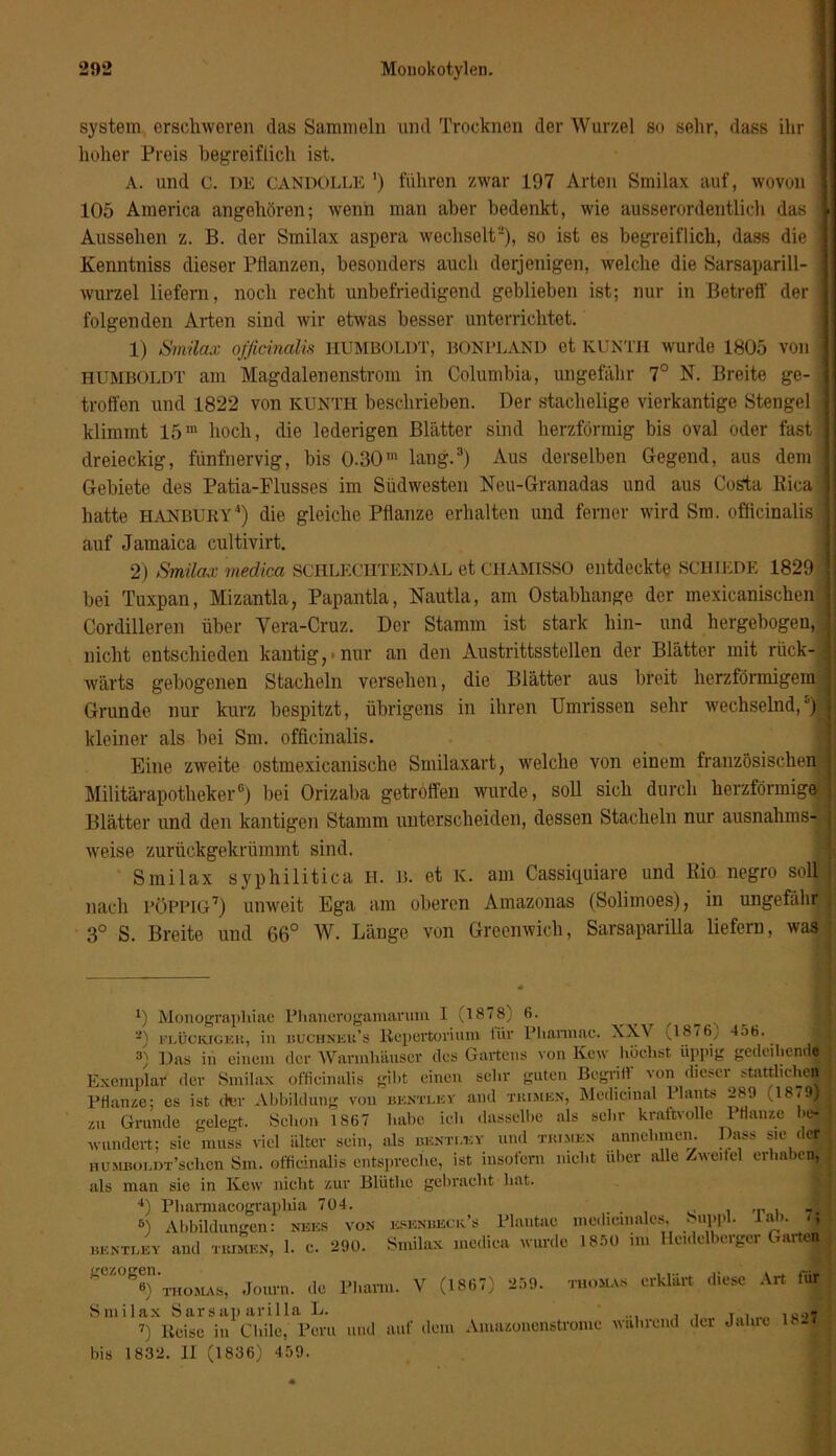 System erschweren das Sammeln und Trocknen der Wurzel so sehr, dass ihr hoher Preis begreiflich ist. A. und C. de CANDOLLK ') führen zwar 197 Arten Smilax auf, wovon ' 105 America angehören; wenn man aber bedenkt, wie ausserordentlich das j Aussehen z. B. der Smilax aspera wechselt-), so ist es begreiflich, dass die | Kenntniss dieser Pflanzen, besonders auch derjenigen, welche die Sarsaparill- wurzel liefern, noch recht unbefriedigend geblieben ist; nur in Betreff der ] folgenden Arten sind wir etwas besser unterrichtet. 1) Smilax offieinalis HUMBOLDT, BONPLAND et KUNTH wurde 1805 von ] HUMBOLDT am Magdalenenstrom in Columbia, ungefähr 7° N. Breite ge- j troffen und 1822 von KUNTH beschrieben. Der stachelige vierkantige Stengel klimmt 15m hoch, die lederigen Blätter sind herzförmig bis oval oder fast j dreieckig, fünfnervig, bis 0.30m lang.1 2 3) Aus derselben Gegend, aus dem Gebiete des Patia-Flusses im Südwesten Neu-Granadas und aus Costa Rica jj hatte hanbuky4 *) die gleiche Pflanze erhalten und ferner wird Sm. offlcinalis j auf Jamaica cultivirt. 2) Smilax medica SCHLECHTENDAL et CHAMISSO entdeckte SCHIEDE 1829 ] bei Tuxpan, Mizantla, Papantla, Nautla, am Ostabhange der mexicanischen Cordilleren über Yera-Cruz. Der Stamm ist stark hin- und hergebogen, nicht entschieden kantig, nur an den Austrittsstellen der Blätter mit rück-1 wärts gebogenen Stacheln versehen, die Blätter aus breit herzförmigem j Grunde nur kurz bespitzt, übrigens in ihren Umrissen sehr wechselnd/) 1 kleiner als hei Sm. offlcinalis. Eine zweite ostmexicanische Smilaxart, welche von einem französischen I Militärapotheker6) bei Orizaba getroffen wurde, soll sich durch herzförmige I Blätter und den kantigen Stamm unterscheiden, dessen Stacheln nur ausnahms- l weise zurückgekrümmt sind. Smilax syphilitica H. B. et K. am Cassiquiare und Rio negro soll i nach pöppig7) unweit Ega am oberen Amazonas (Solimoes), in ungefähr^ 3° S. Breite und 66° W. Länge von Greenwich, Sarsaparilla liefern, was 1) Monograpliiae Phanerogamarum I (1878) 6. 2) EX.ÜCKJGEH, in buchneu’s Repertorium für Pliavmae. XXV J876 456. 3) Das in einem der Warmhäuser des Gartens von Kew höchst üppig gedeihende Exemplar der Smilax offieinalis gibt einen sehr guten Begriff von dieser stattlichen PHan/.e; es ist cter Abbildung von bentley and tuimen, Medicinal Plants 289 18.9) zu Grunde gelegt. Schon 1867 habe ich dasselbe als sehr kraftvolle Pflanze befj wundert; sie muss viel älter sein, als benti.ky und tu.men annehmen. Dass sie der humboi.dt’schcn Sm. offieinalis entspreche, ist insofern lucht über alle Zweitel erhaben, als man sie in Kew nicht zur Bliitlic gebracht hat. 4) Pliarmacograpliia 704. 5) Abbildungen: nees von KSENBECIv S Plautac meclieinales, Suppl. Tab. benti.ey and tKIMEN, 1. c. 290. Smilax medica wurde 1850 im Heidelberger Garten Thomas, Journ. de Pharm. V (1867) 259. thomas erklärt diese Art für Smilax Sarsaparilla L. ... , , T„i ic-)7 7) Heise in Chile, Peru und auf dem Amazonenstrome wahrend der Jahre 18 |1 bis 1832. II (1836) 459.