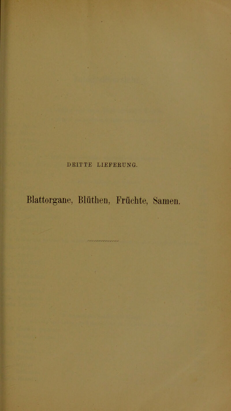 DBITTE LIEFEKUNG. Blattorgane, Blüthen, Früchte, Samen.