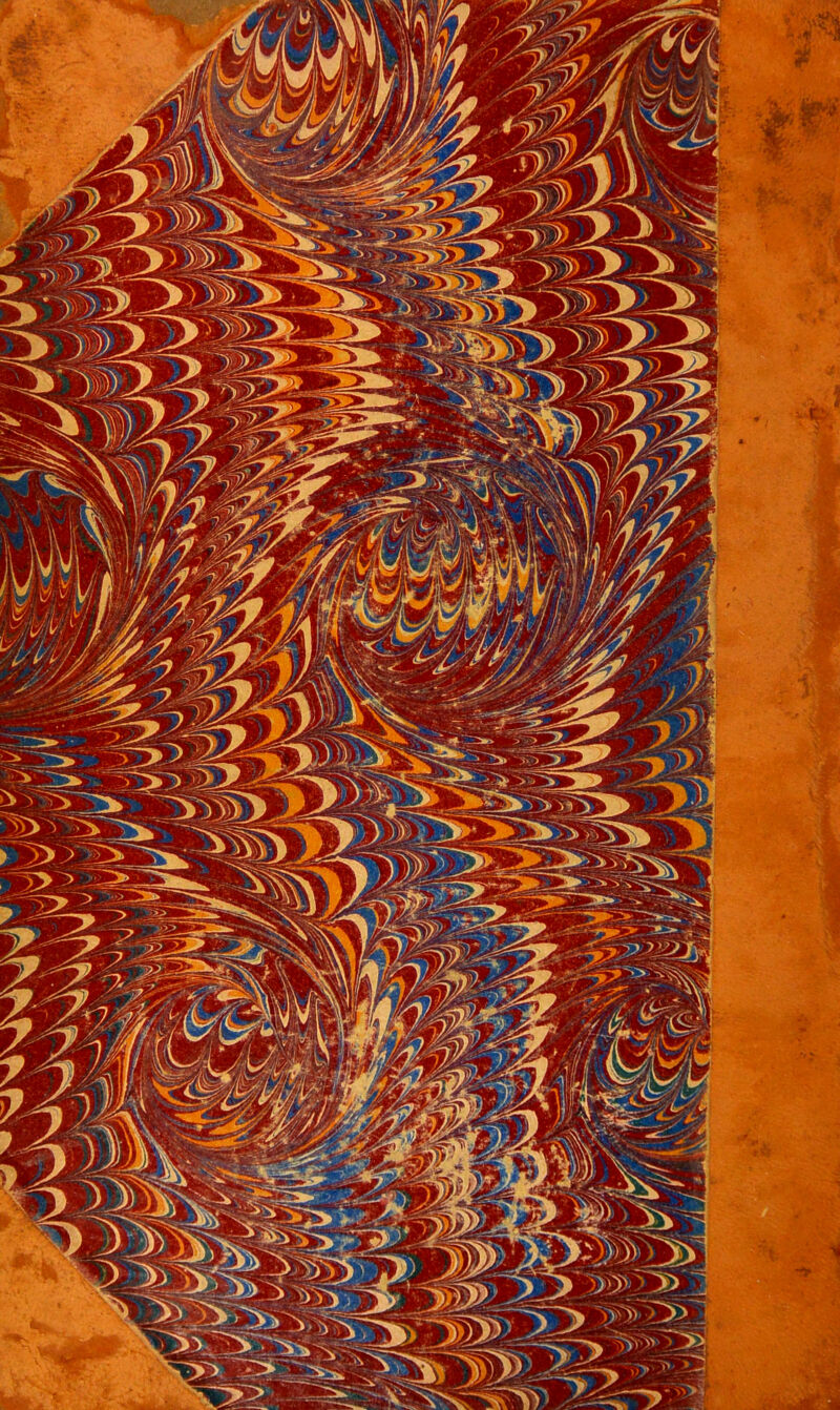 No text description is available for this image