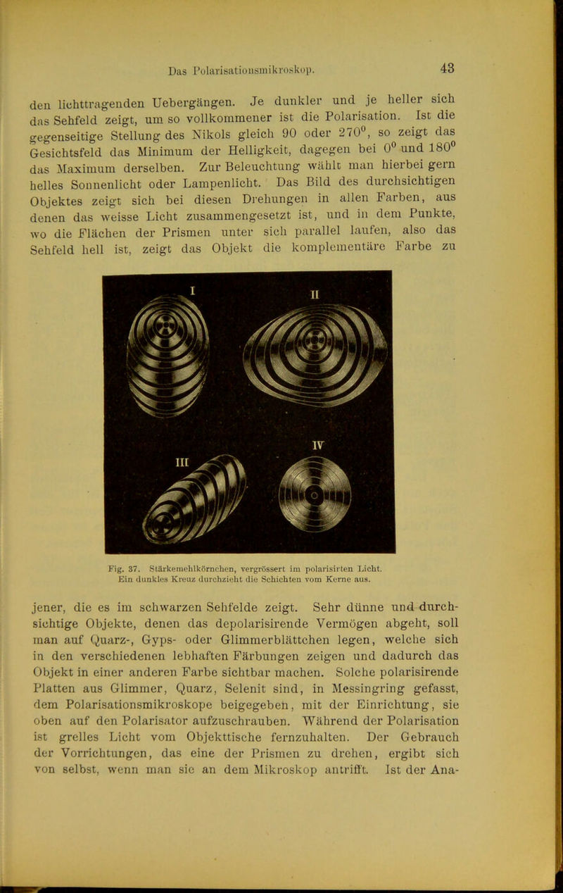 den lichttragenden Uebergängen. Je dunkler und je heller sich das Sehfeld zeigt, um so vollkommener ist die Polarisation. Ist die gegenseitige Stellung des Nikols gleich 90 oder 270 , so zeigt das Gesichtsfeld das Minimum der Helligkeit, dagegen bei 0® und 180® das Maximum derselben. Zur Beleuchtung wählt man hierbei gein helles Sonnenlicht oder Lampenlicht. Das Bild des durchsichtigen Objektes zeigt sich bei diesen Dj’ehungen in allen Farben, aus denen das weisse Licht zusammengesetzt ist, und in dem Punkte, wo die Flächen der Prismen unter sich parallel laufen, also das Sehfeld hell ist, zeigt das Objekt die komplementäre Farbe zu Fig. 37. Stärkemehlkörnchen, vergrössert im polaiisirten Licht. Ein dunkles Kreuz durchzieht die Schichten vom Kerne aus. jener, die es im schwarzen Sehfelde zeigt. Sehr dünne und durch- sichtige Objekte, denen das depolarisirende Vermögen abgeht, soll man auf Quarz-, Gyps- oder Glimmerblättchen legen, welche sich in den verschiedenen lebhaften Färbungen zeigen und dadurch das Objekt in einer anderen Farbe sichtbar machen. Solche polarisirende Platten aus Glimmer, Quarz, Selenit sind, in Messingring gefasst, dem Polarisationsmikroskope beigegebeh, mit der Einrichtung, sie oben auf den Polarisator aufzuschrauben. Während der Polarisation ist grelles Licht vom Objekttische fernzuhalten. Der Gebrauch der Vorrichtungen, das eine der Prismen zu drehen, ergibt sich von selbst, wenn man sic an dem Mikroskop antriflt. Ist der Ana-