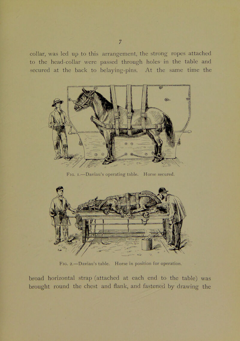 collar, was led up to this arrangement, the strong ropes attached to the head-collar were passed through holes in the table and secured at the back to belaying-pins. At the same time the Fig. i.—Daviau’s operating table. Horse secured. Fig. 2.—Daviau’s table. Horse in position for operation. broad horizontal strap (attached at each end to the table) was brought round the chest and flank, and fastened by drawing the