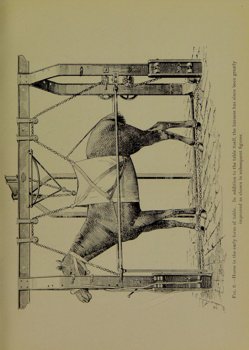 Fig. 6.—Horse in the early form of table. In addition to the table itself, the harness has since been greatly improved as shown in subsequent figures.