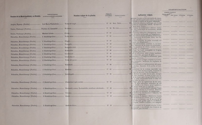 Nombre de Uperiona Nombro de la Manícípalldft(l y sn Estado. qU8 devuelve u circular y envíe pianu*. Nombre vulgar de la planta. Acnjeto, Toponea [Puebla] José María Tlnsloshcros Yerba del Angel Totolos, Tlntlnuqui [Puebla] Flavinno A. Lamadrid Tó limón Tetóles, Tlntlauqui [Puebla] Mariano Lobato Cicuta Pubuntlnn, Huaucbinnngo (Puebla) J. Guadalupe Cruz Yerba dulce Pnlmntlnn, Huaucbinnngo (Puebla) J. Guadalupe Cruz Chapia Pnhuntlun, Huaucbinnngo (Puebla) J. Guadalupe Cruz Trompillo Pnliuntlnn, Ilunuchinnngo (Puebla) J. Guadalupe Cruz Zempoalxochitl Pnlmntlnn, Huaucbinnngo (Puebla) J. Guadalupe Cruz Hediondilla Pahuntlan, Huaucbinnngo (Puebla) J. GuadalupeCruz..... Cocolmecatl Paliuntlnn, Huaucbinnngo (Puebla) J. GuadalupeCruz Chichiotlncotl Pnlmntlnn, Huaucbinnngo (Puebla) J. GuadalupeCruz Yerba del pastor Pnhuntlnn, Huaucbinnngo [Puebla] J. Guadalupe Cruz Tctlzibuitl Pahuntlan, Huaucbinnngo [Puebla] J. Guadalupe Cruz Huósima Paliuntlnn, Huaucbinnngo [Puebla] J. Guadalupe Cruz Ixtololopatle. Pahuntlan, Huaucbinnngo [Puebla] J. Guadalupe Cruz Chncnxiotn ó palo mulato. Pnlmntlnn, Huaucbinnngo [Puebla] J. GuadalupeCruz Tochomitl, azteca; Tocbomitillo, castellano adulterado. Pnhuntlnn, Huaucbinnngo [Puebla] J. Gundnlupo Cruz Toloatzo. Pahuntlan, Huaucbinnngo [Puebla] J. Guadalupe Cruz Guaco..., Pahuntlan, Huaucbinnngo [Puobln], J. Guadalupo Cruz. Barba do Chivo. CLASIFICACION. Número del expedíoste y do la plasta. Contiene la romUIon. 17 33 Raíz. Tallo. 17 34 No vino 17 35 17 36 17 37 '. 17 38 17 39 17 40 17 41 17 42 17 43 17 44 17 45 .... 17 46 17 47 17 48 17 49 17 60 17 51 PRIMERA COMISION. Aplicación vulgar. pañones: la raíz se fríe con aceite de comer, r >sado, cebolla y polvos de comino, mostaza; y caliente se aplica en la parte inflamada... Para dolor de corazón y estómago: seis ó siete igollos en cocimiento, bebida. La raíz sir- Vc para hacer licores Para calmar las irritaciones ó dolores violen- t >s: seis ó siete hojas en cocimiento, bebido e i pocilios Para minorar lobanillos ó desaparecer verru- gas: la yerba machacada, en cataplasmas... Para las enfermedades periódicas de lasmuje- rj‘s: cocimiento de la yerba; dosis, tres de- cilitros; bebida Para curar erisipelas: la yerba mezclada con vinagre, en cataplasmas Para las enfermedades venéreas en los hom- bres: fomentos de las hojas en cocimiento... Paila las picaduras do víbora: molida ó en co- c miento, en cataplasmas Febrífugo: las hojas restregadas en el agua, preparada para baño Contra la hidrofobia: tallo y hojas machaca- dos y hervidos, por agua de pasto Aniireumático: el follaje en cocimiento, para vapores ó tintura Para los bubones y Hagas cutáneas en el hom- bre y animales: lavatorios de la planta en cocimiento Pañi la venteadura <5 embaramiento del gana- di* caballar, fomentos de la yerba en coci- miento El cocimiento de la corteza, mezclado con mía corta dósis de tequezquite, tomando en ayunas un pozuelo, sirve de digestivo Para disolver las nubes do los ojos, siempre qhe sean recientes, se cuela el jugo que sa- le de las hojas, pero con preferencia el de la •*fflj*r, y cada veinticuatro horas se echa una gi»ta sobre la nube Febrífugo; para las agitaciones de los caba- llas, la hoja restregada echándole sal del lijar, bebida; y la corteza, para lo primero, ¿ I mismo modo que lo segundo Paiji heridas y enfermedades cutáneas, llagas cancerosas, úlceras en el hombre. También se usa para los animales, en cataplasmas ... Paúl disolver las hinchazones ó tumores, las Paiji contener la diarrea y disenteria, y para las mordeduras de víboras; para las dos pri- Beras, el cocimiento con la mezcla de las flhpjas del palo gordo; para la mordedura, 3-tregado, bebido el residuo y en entapias- es Pam el muermo en el ganado caballar, la ho- ^ja triturada y con alcohol, dos libras en un Tec i píente para absorber