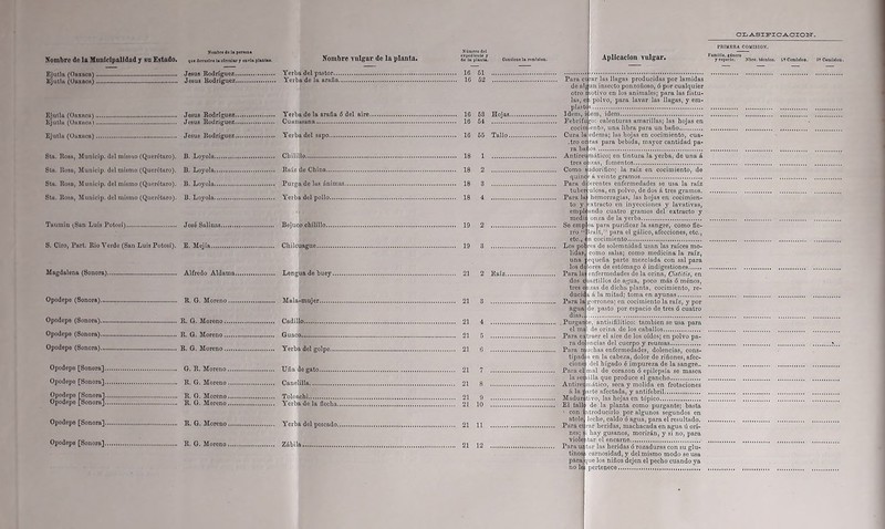 Ejutla (Oaxaca).. Ejutla (üuxacn) .. Hombro de lo penona Jesús Rodríguez Yerba del pastor Jesús Rodríguez Yerba de la araña.. Ejutla (Oaxaca) Jesús Rodríguez Yerba de la araña 6 del aire... Ejutla (Olítuca) Jesús Rodríguez Cuunusuna Ejutla (Oaxaca). Jesús Rodríguez Yerba del sapo.. Sta. Rosa, Municip. del mismo (Querétaro). B. Loyola Cbilillo Stu. llosa, Municip. del mismo (Querétaro). B. Loyola Ruíz de China Sta. Rosa, Municip. del mismo (Querétaro). B. Loyola Purga de las ánimas.. Sta. Rosa, Municip. del mismo (Querétaro). B. Loyola Yerba del pollo Taumin (,San Luis Potosí) José Salinas Bejuco chilillo.. S. Ciro, Part. Rio Verde (San Luis Potosí). E. Mejía Chilcuague Magdalena (Sonora) Alfredo Aldama.. Lengua de buey.. Opodepe (Sonora).. R. G. Moreno Mala-mujer.. Opodepe (Sonora) R. G. Moreno., Opodepe (Sonora) R. G. Moreno.. Opodepo (Sonora) R. G. Moreno.. Cadillo Guaco Yerba del golpe.., Opodepo [Sonora] G. R. Moreno Uña de gato.. Opodepe [Sonora] R. G. Moreno Canelilla Opodepo [Sonora] R. G. Moreno Opodepo [Sonora] R. G. Moreno Tolonchi Yerba de la flecha.. Opodepo [Sonora].. Yerba del pescado.. Opodepo [Sonora]. R. G. Moreno Zábila, CLASIFICACION. Número dol expediente y Aplicación vulgar. PRIMERA COMISION. Familia, gúncro 16 51 16 52 16 63 Hojas. 16 64 16 65 Tallo. 18 1 18 2 18 3 18 4 19 2 19 3 21 2 Raíz... 21 3 21 4 21 5 21 G 21 7 21 8 21 9 21 10 21 11 21 12 ra tres o Para ce rar las llagas producidas por lamidas de alg un insecto ponzoñoso, ó por cualquier otro i lotivo en los animales; para las fístu- las, e:i polvo, para lavar las llagas, y em- plastas Idem, ilem, idem.. Febrífugo: calenturas amarillas; las hojas en cocimiento, una libra para un baño Cura la edema; las hojas en cocimiento, cua- .tro or zas pura bebida, mayor cantidad pa- bai ios Antirev mático; en tintura la yerba, de una á zas, fomentos.. Como sjdorífico; la raíz en cocimiento, de quine i á veinte gramos Para d i eren tes enfermedades se usa la raíz tuber ulosa, en polvo, de dos á tres gramos. Para la hemorragias, las hojas en cocimien- to y ?xtracto en inyecciones y lavativas, empl< ando cuatro gramos del extracto y medii onza de la yerba.. Se emp cu para purificar la sangre, como fie- rro “ 5rult,” para el gálico, afecciones, etc., etc., i n cocimiento Los pobres de solemnidad usan las ruíces mo- lidas, como salsa; como medicina la raíz, una equeña parte mezclada con sal para los de lores de estómago é indigestiones Para las enfermedades de la orina, Cistitis, en dos c mrtillos de agua, poco más ó ménos, tres o izas de dicha planta, cocimiento, re- ducid i á la mitad; toma en ayunas Para la gorronea: en cocimiento la raíz, y por agua de pasto por espacio de tres ó cuatro dias .Purgante, antisifilítico: también se usa para el mí 1 de orina de los caballos Para extraer el aire de los oídos; en polvo pa- ra do oncias del cuerpo y reumas Para muchas enfermedades, dolencias, cons- tipad >s en la cabeza, dolor de riñones, afec- cione i del hígado é impureza de la sangre.. Para el mal de corazón ó epilepsia se masca la sei lilla que produce el gancho Antirei mático, seca y molida en frotaciones á la fiarte afectada, y antifebril Madun tivo, las hojas en tópico El tall de la planta como purgante; basta • con introducirlo por algunos segundos en atole, leche, caldo ó agua, para el resultado. Para el rar heridas, machacada en agua ú ori- nes; í i hay gusanos, morirán, y si no, para viole itar el encarne... ParaSS tar las heridas ó rozaduras con su glu» tinos t carnosidad, y del mismo modo se usa para jue los niños dejen el pecho cuando ya no leí pertenece