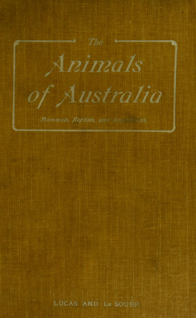 No text description is available for this image