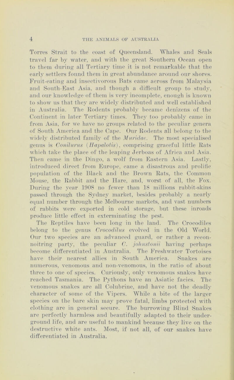 Torres Strait to tlie roast of Queensland. AVliales and Seals travel far by watei', and with the <>reat Southern Ocean open to them dnrino' all Teidiary time it is not remarhahle that the early settlers found them in yi-eat ahnndance ai'onnd oni* shoiM's. Frnit-eatiiyy and insecdivorons Bats came across from iNTalaysia and Sonth'Kast Asia, and thonjili a difficidt rronj) to study, and onr hnowledr'Cof them is V(*i‘y incomjjlete, enonyh is loiown to show ns that they arc' widc'ly distiahnted and well established in ^Vnstralia. The Kodents pi'ohahly became denizens of the Continent in later Tertiary times. They too prol)ahly came in from Asia, for we have no yronps related to the ])eridiar yenera of South America, and the (hipe. Oni' Rodents all helon<i- to the widely distributed family of the Minidac. The most specialised genus is (^o)iihirus {IfapaJofis). (‘omprising gracefid little Rats which take' the ])lace of the lea])ing derhoas of Africa and Asia. Tlien came in the Dingo, a wolf fi-om Easteiai Asia. La.stly, introdncc'd direct fi’om Enro|)e. came a disastrous and ]:>rolific l^opnlation of the Bhudv and the? Bi'own Rats, the Common IMonse. the Rabbit and the flare, and. worst of all, the Fox. During the yc'ar 1908 no fewc'r than 18 millions rabbit-skins passed through the Sydney market, besides probably a nearly ecpial number through the IMelbourne markets, aud vast numbers of rabluts were exported iu cold storage, but these inroads produce little eft'ect in exterminating the pest. The Reptiles have been long in the land. The Crocodiles belong to the genus Crocodilus evolved in the Old World. Our two species are au advanced guard, or rather a i-econ- noitriug party, the peculiar ('. joli )isfoiiii having perhaps l)ecome ditferentiated in Australia. Idle Fi-eshwater Toi-toises have their nearest allies in South America. Snakes are numerous, venomous and non-venomous, in the ]-atio of about three to one of si)ccies. Curiously, only venomous snakes have reached Tasmania. The Pythons have an Asiatic facies. 'Idie venomous snakes are all Colubrine, and have not the deadly character of some of the Vipers. While a bite of the larger species on the bare skin may ])rove fatal, limbs protected with clothing are in general secure. The burroAving Blind Snakes are perfectly harmless and beautifully adapted to their under- ground life, and are useful to mankind because they live on the destructive Avhite ants. iMost, if not all, of our snakes have ditferentiated in Australia.